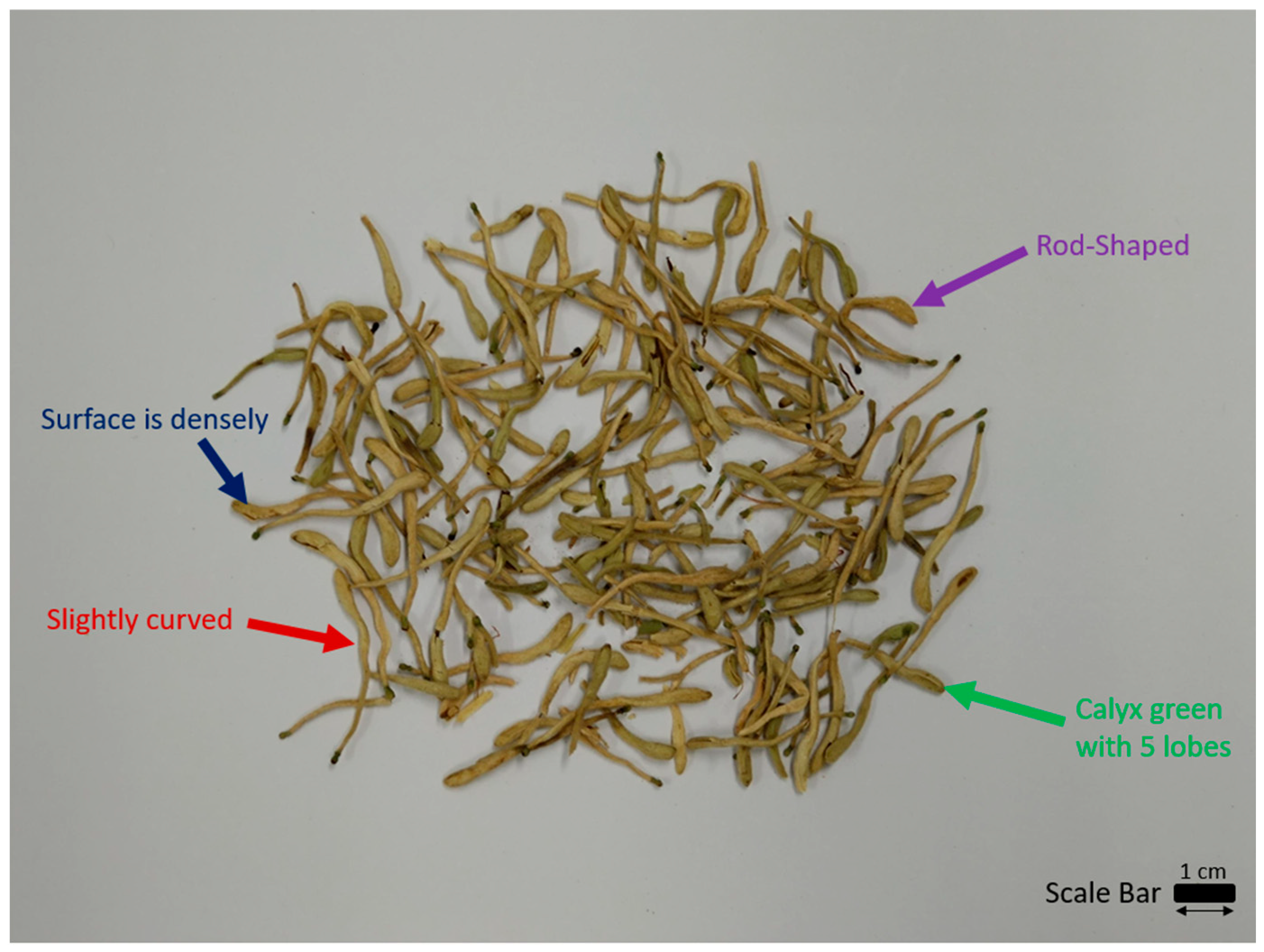 Molecules 29 01972 g001