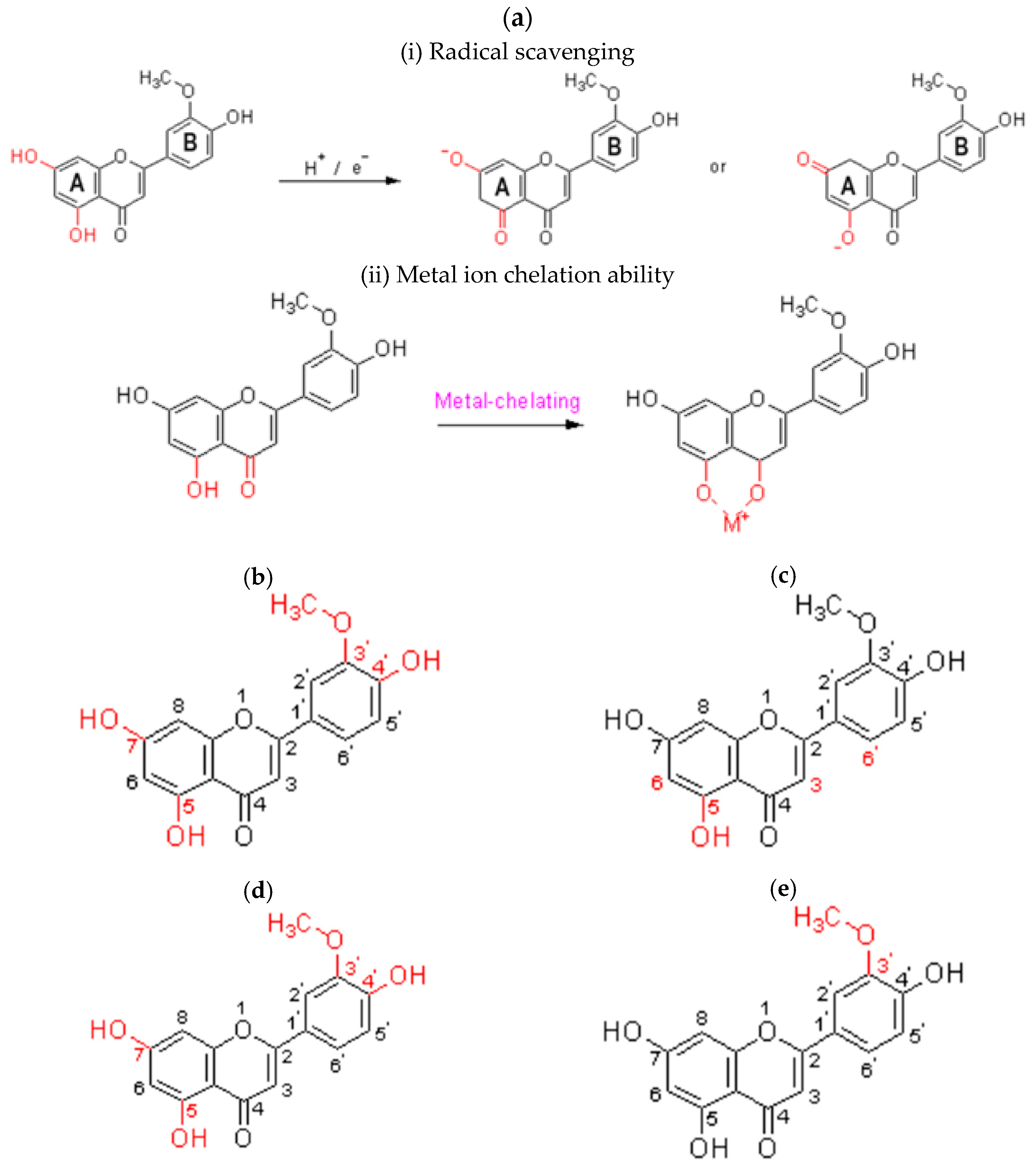 Molecules 29 01972 g003a