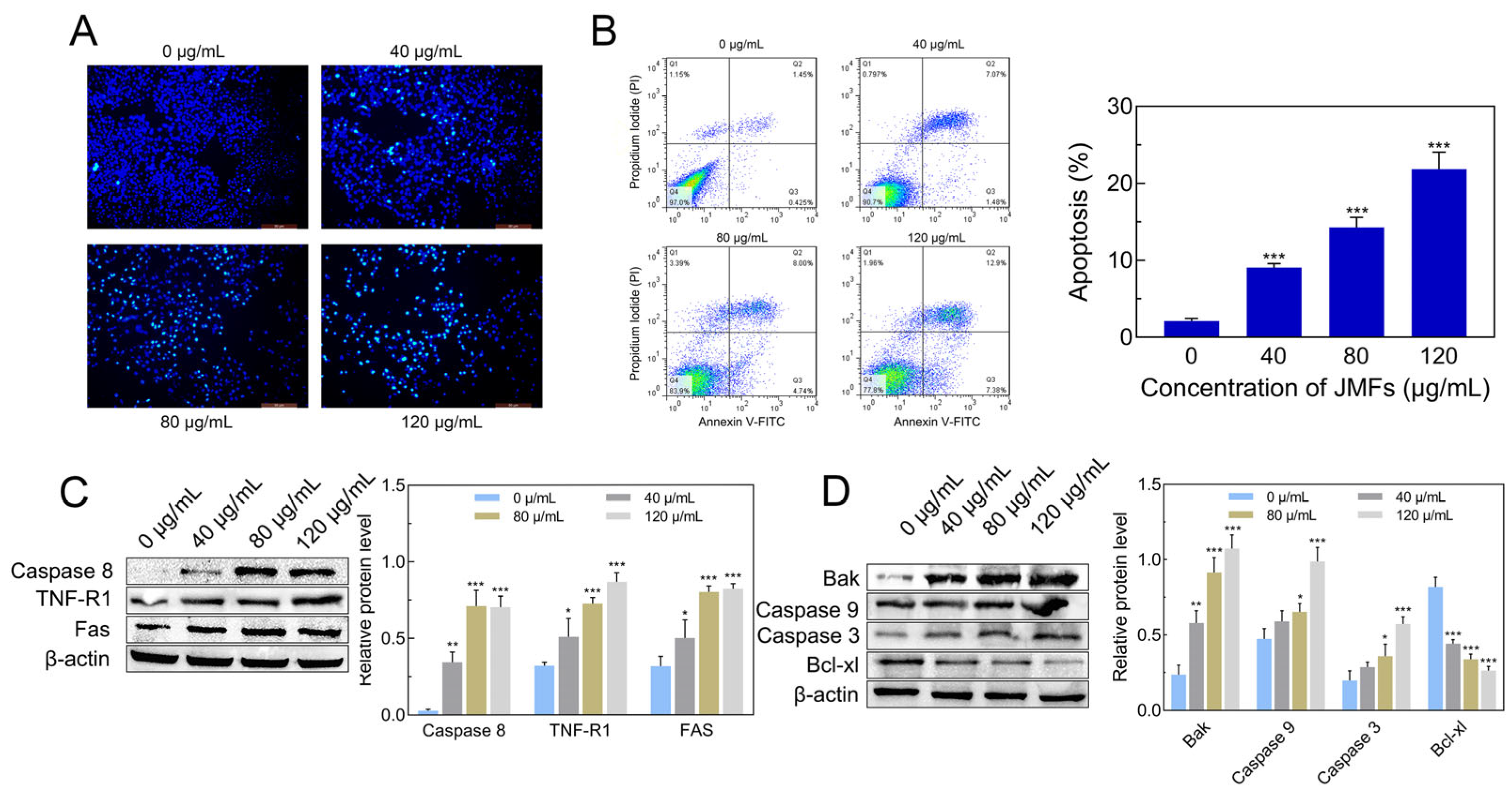 Molecules 29 01976 g010