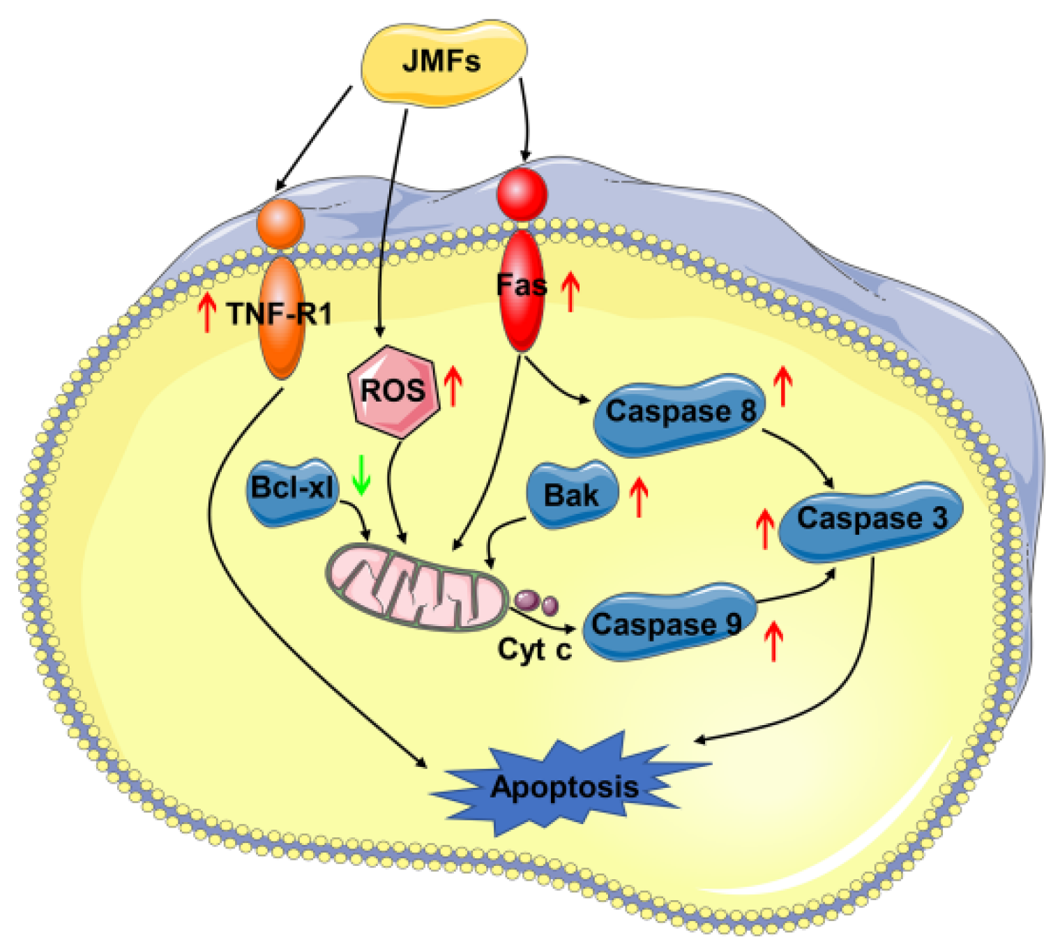 Molecules 29 01976 g011