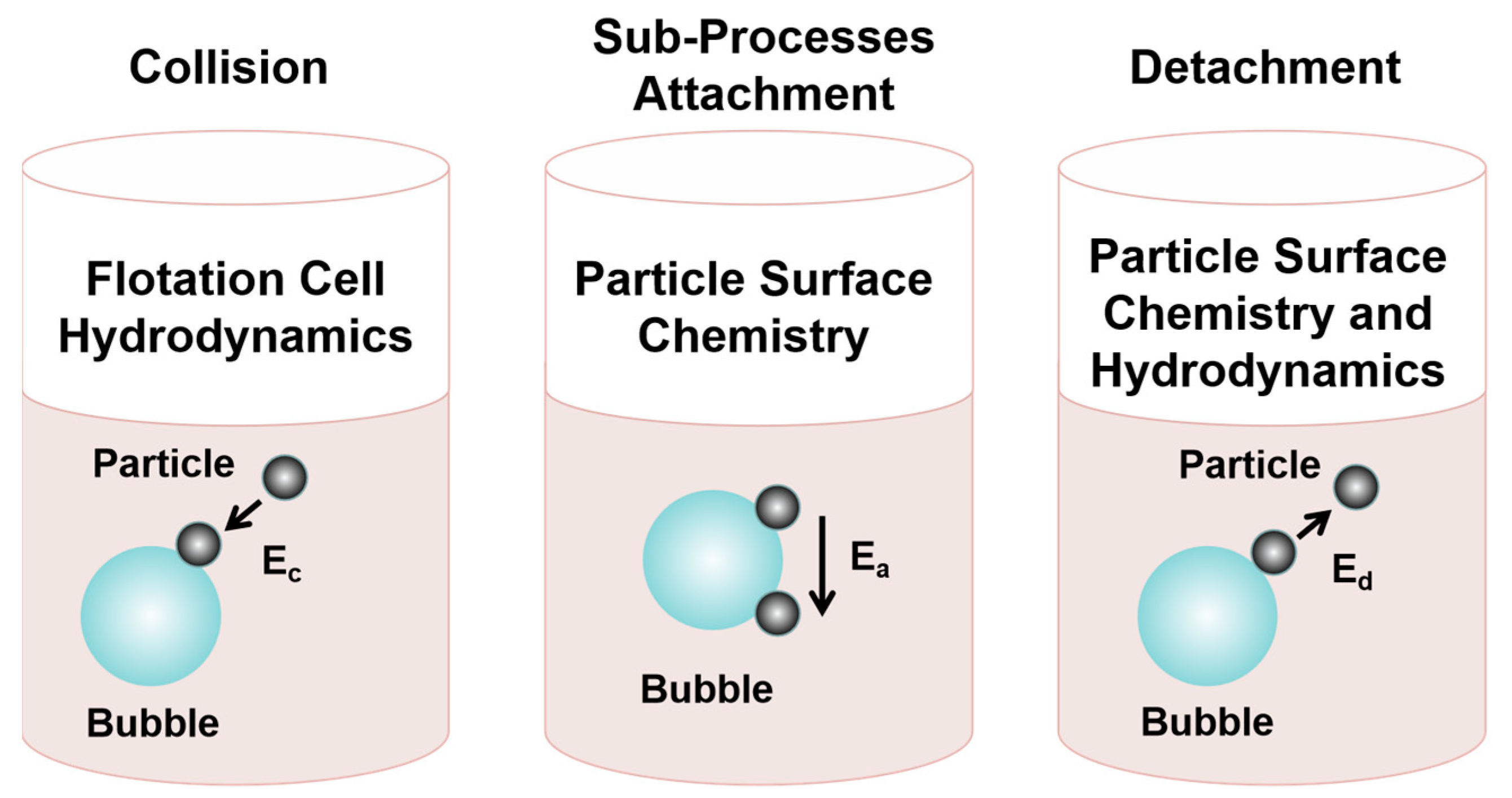 Molecules 29 01984 g002
