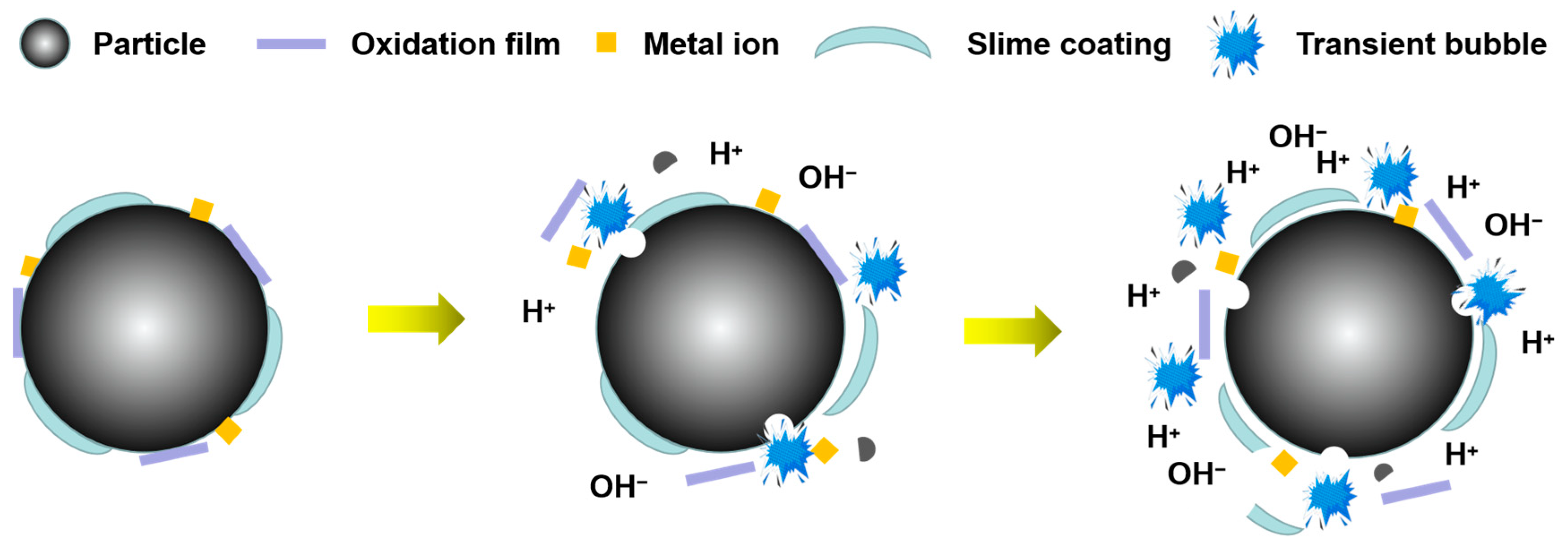 Molecules 29 01984 g007