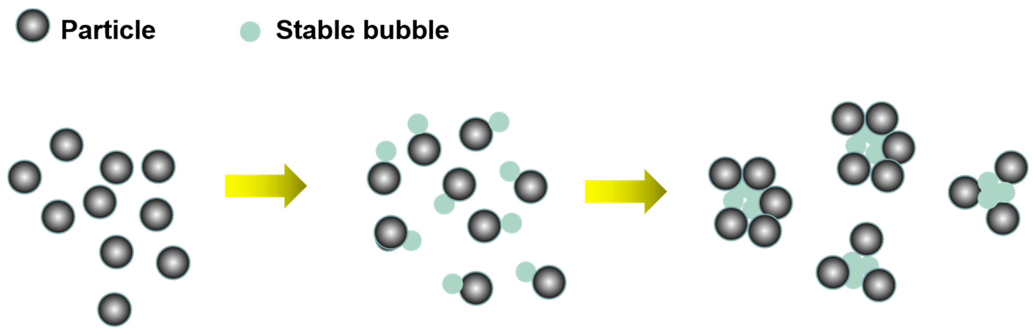 Molecules 29 01984 g009