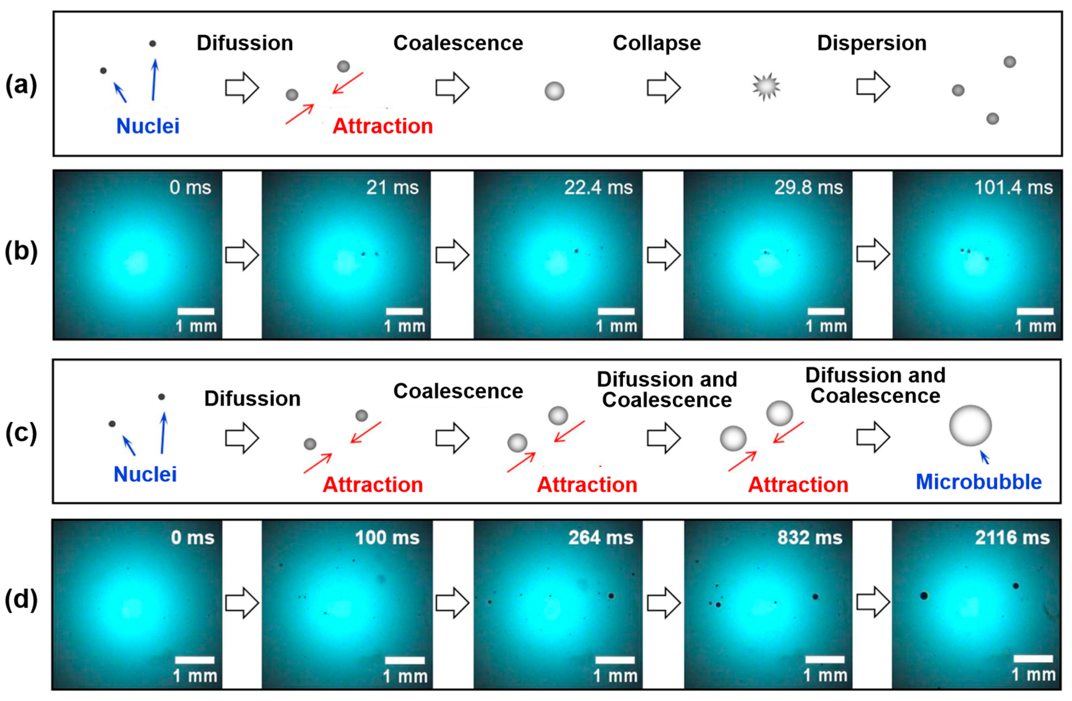 Molecules 29 01984 g020