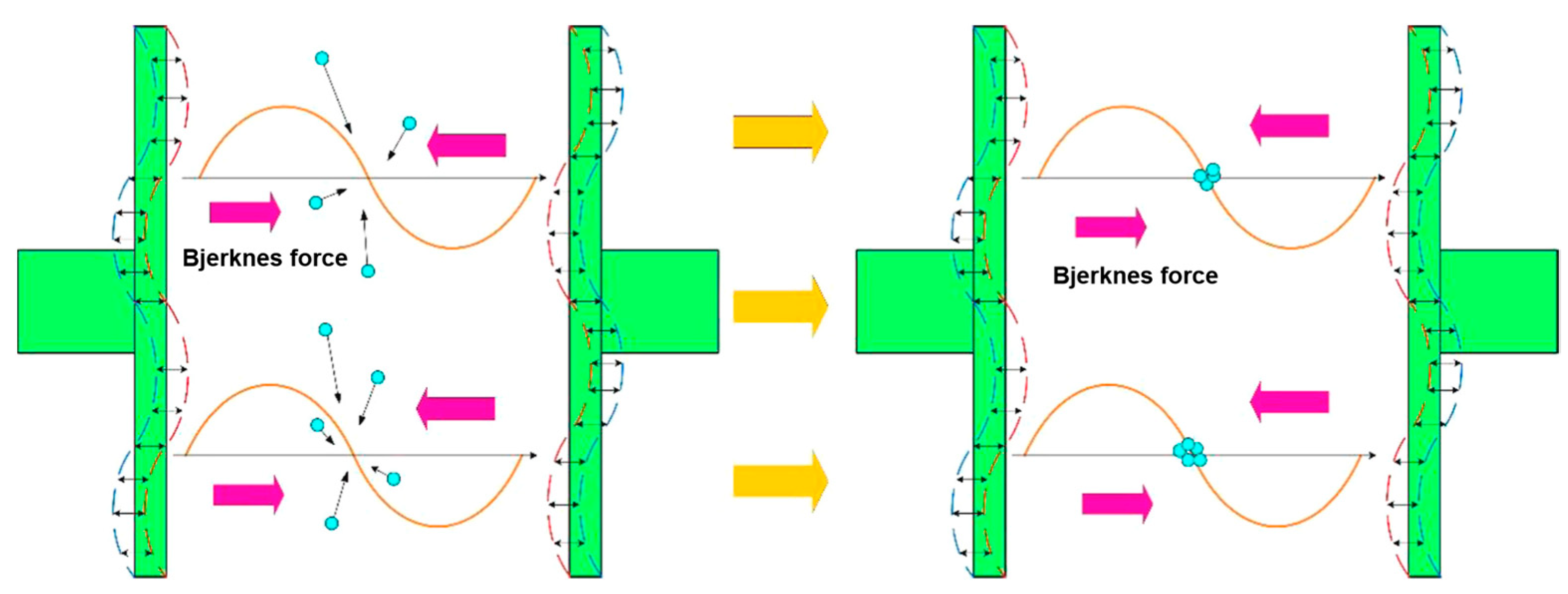Molecules 29 01984 g022
