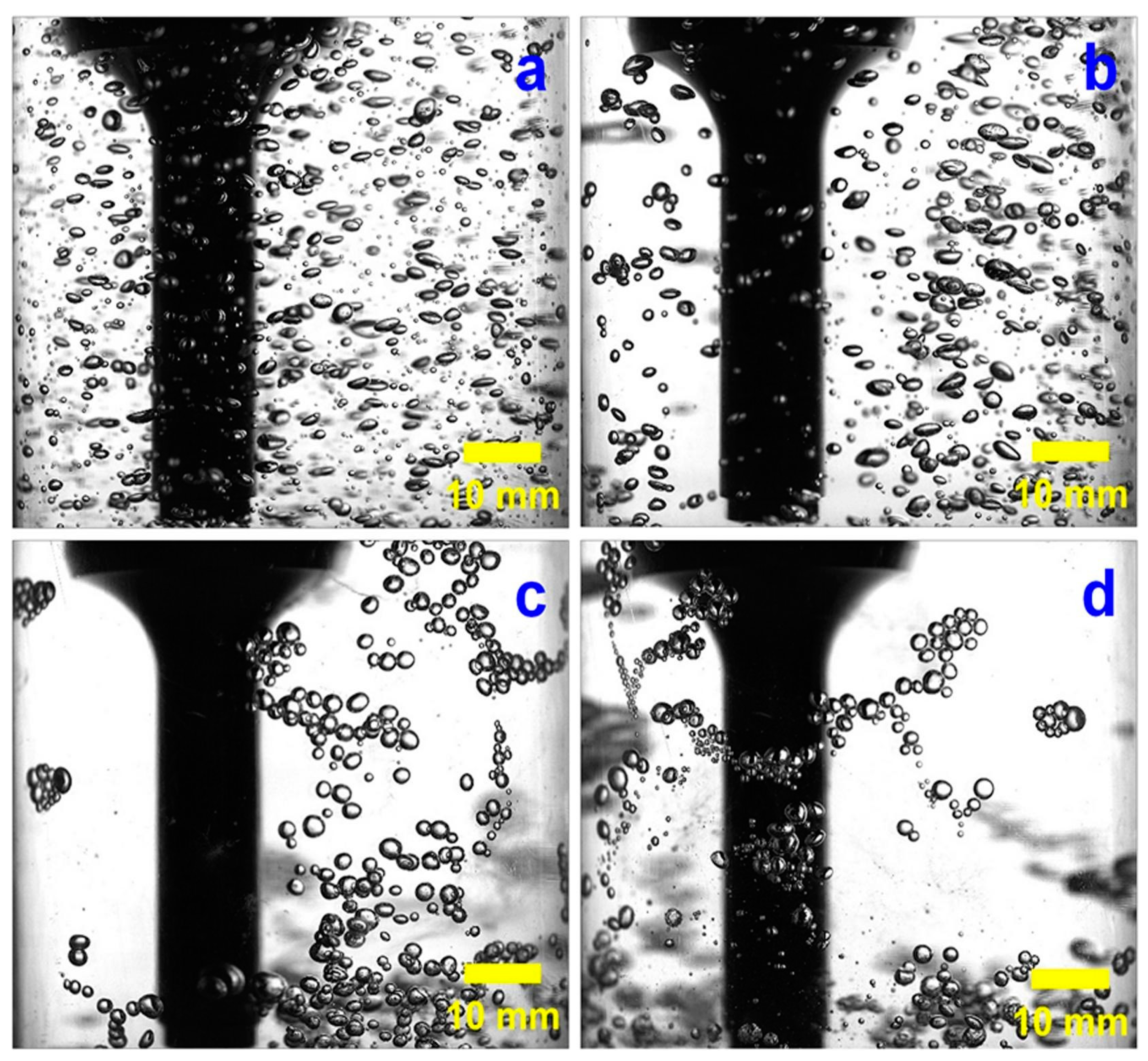 Molecules 29 01984 g023
