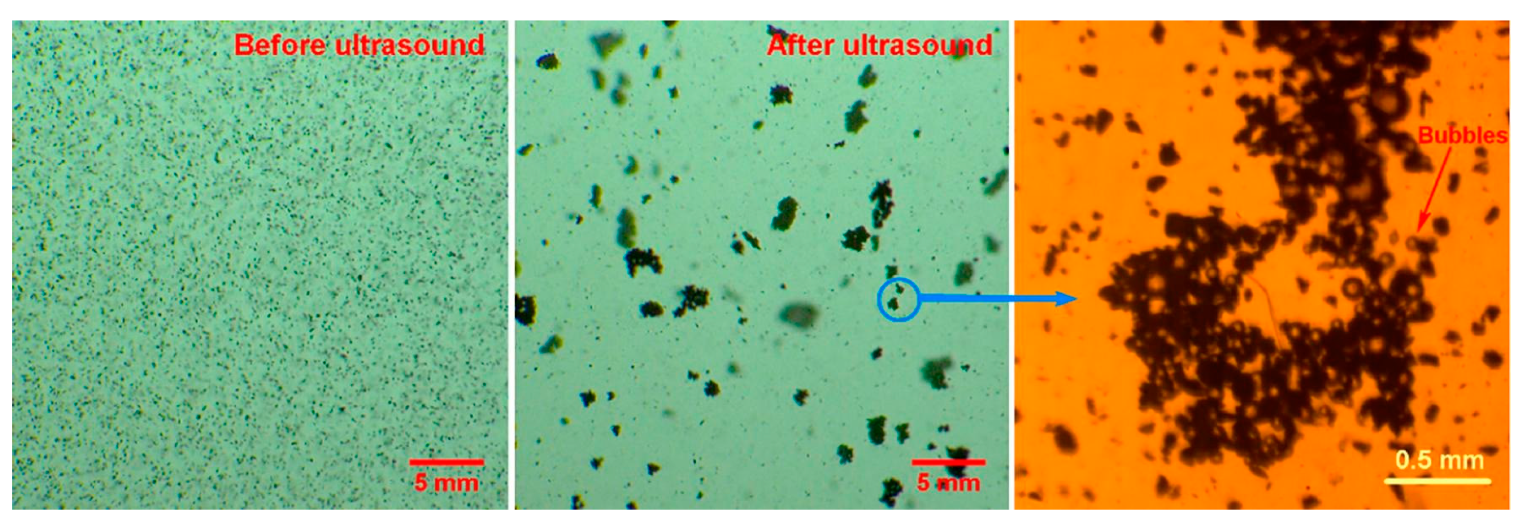 Molecules 29 01984 g024
