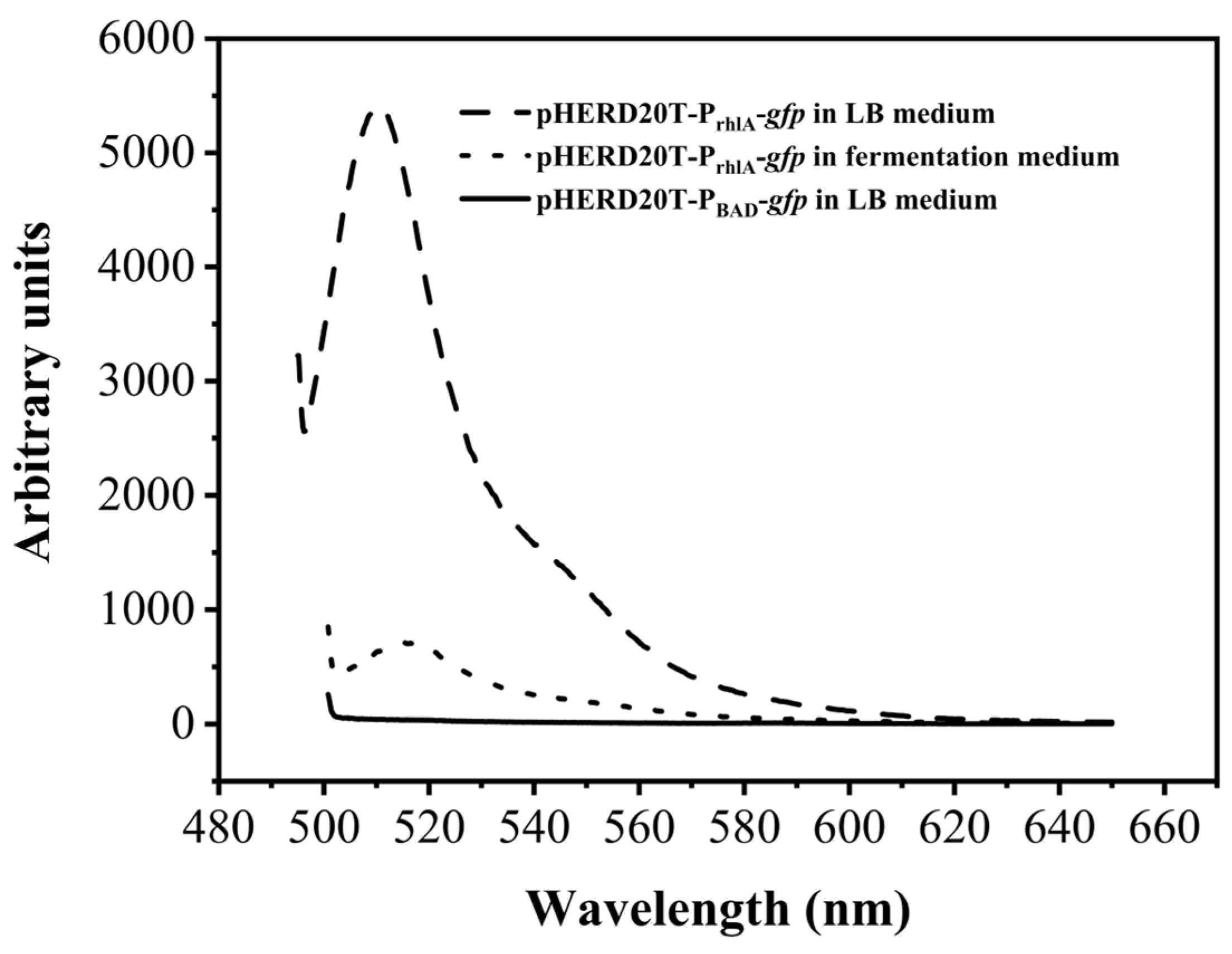 Molecules 29 01992 g002 Molecules 29 01992 g002