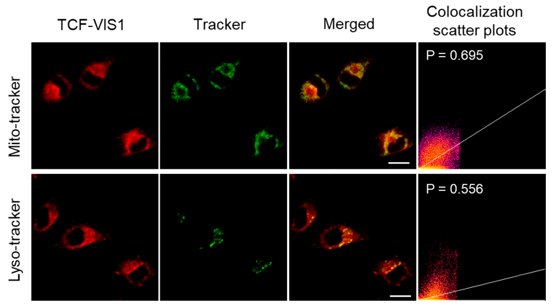 Molecules 29 01993 g003