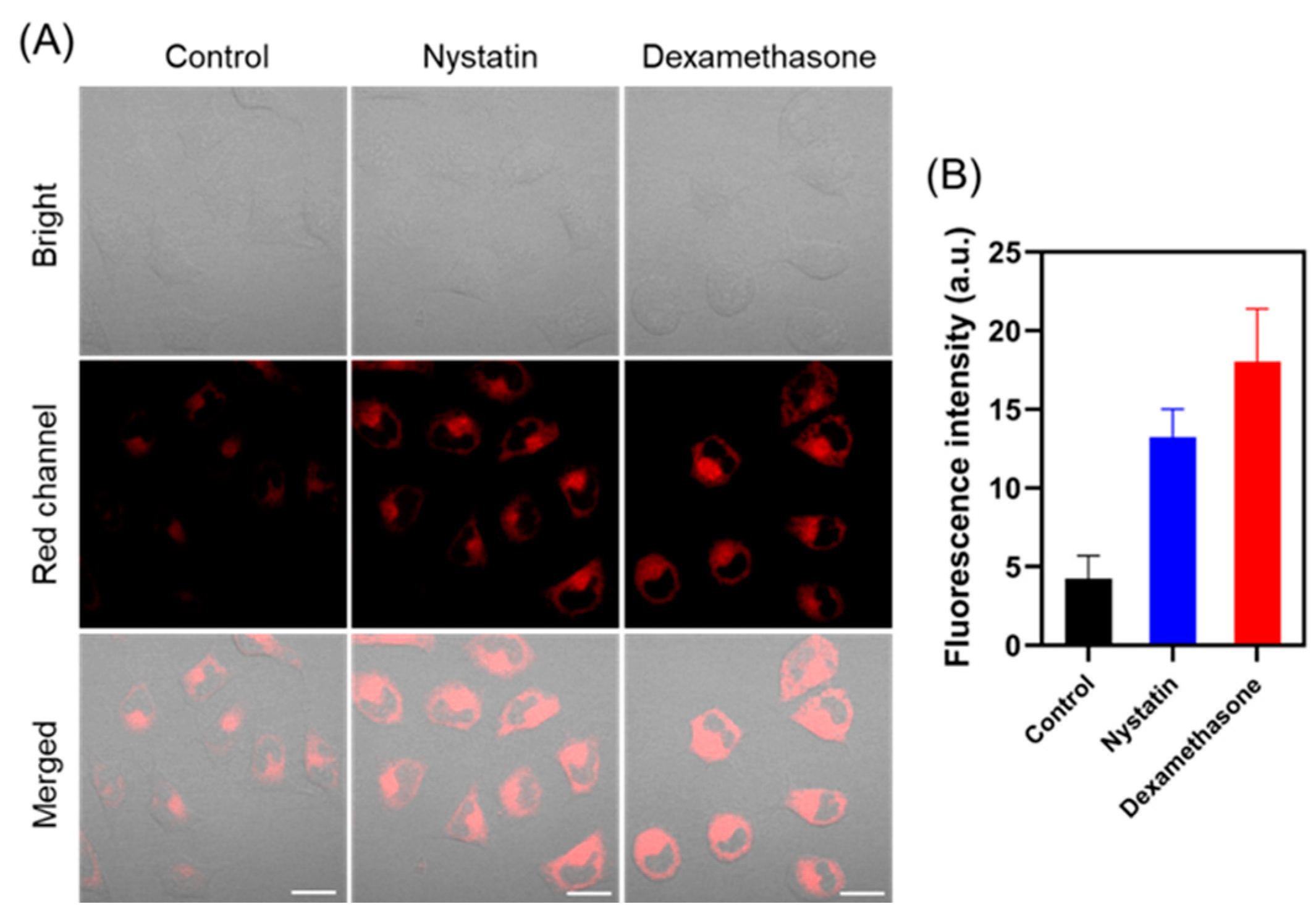 Molecules 29 01993 g004