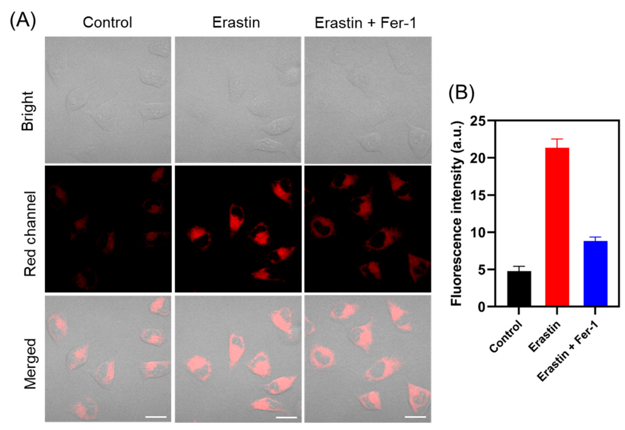Molecules 29 01993 g005