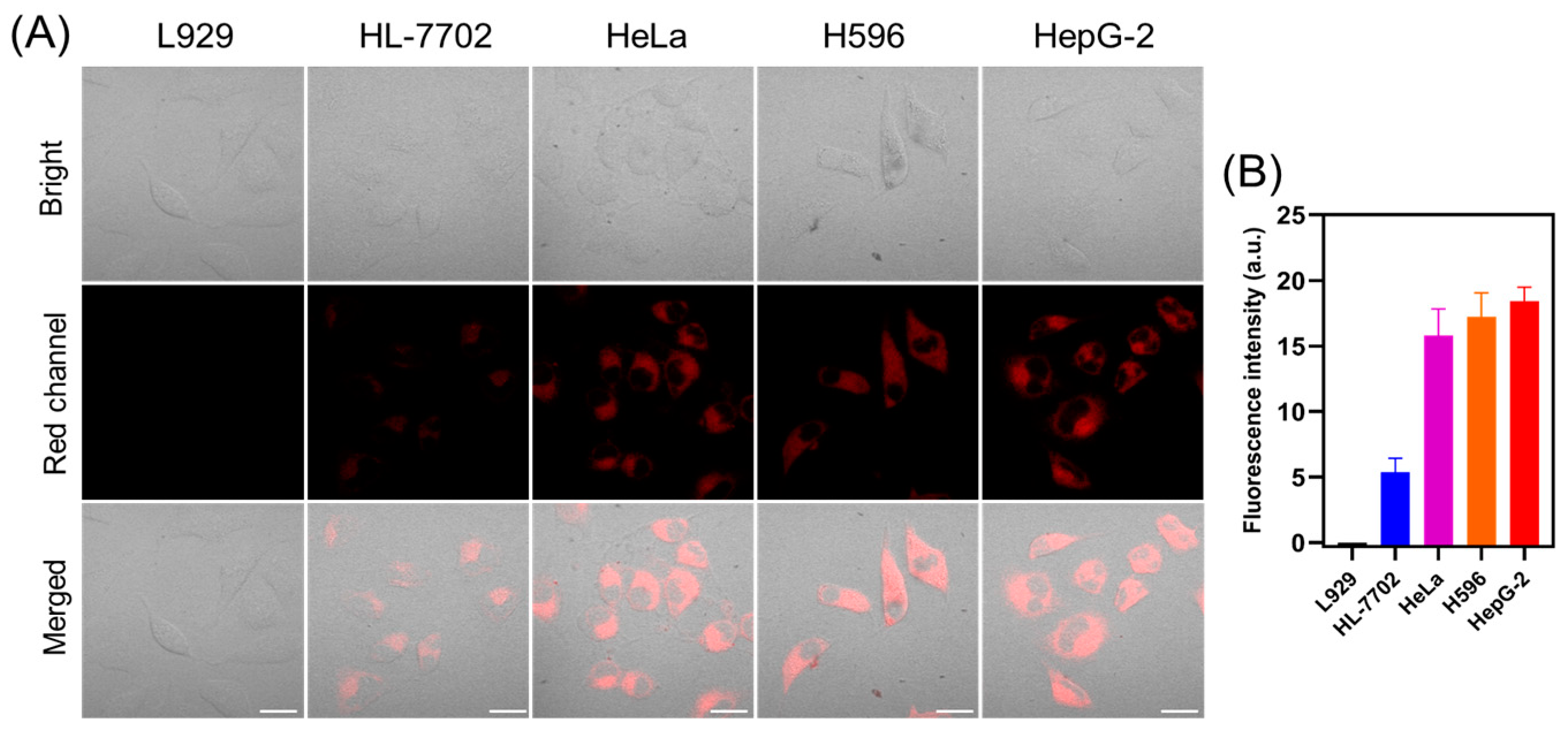 Molecules 29 01993 g006