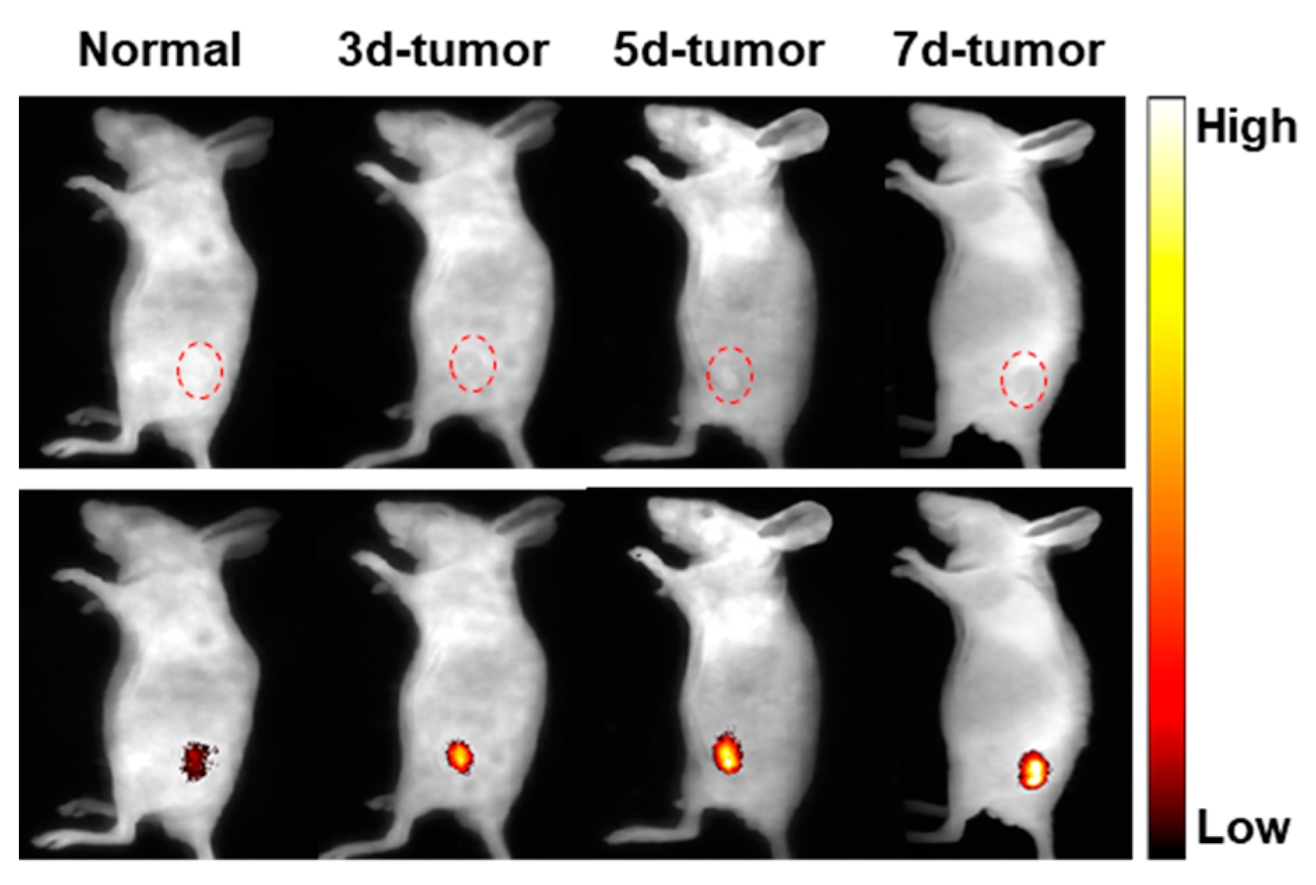 Molecules 29 01993 g007