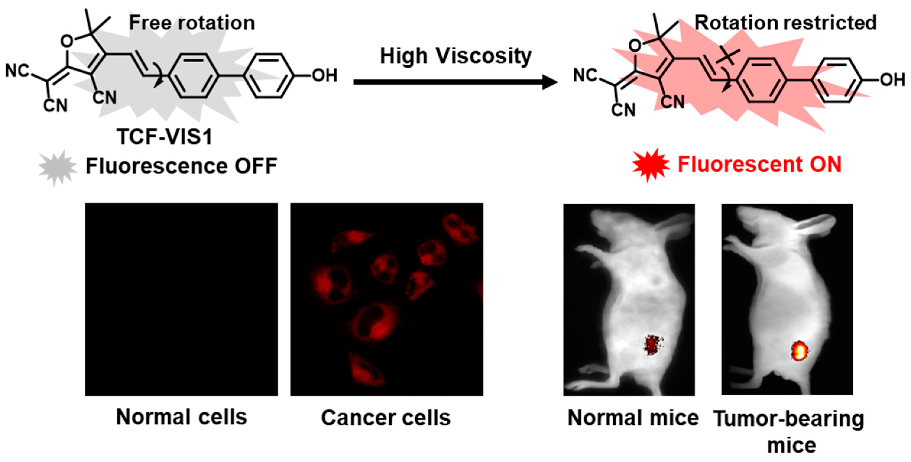 Molecules 29 01993 sch001