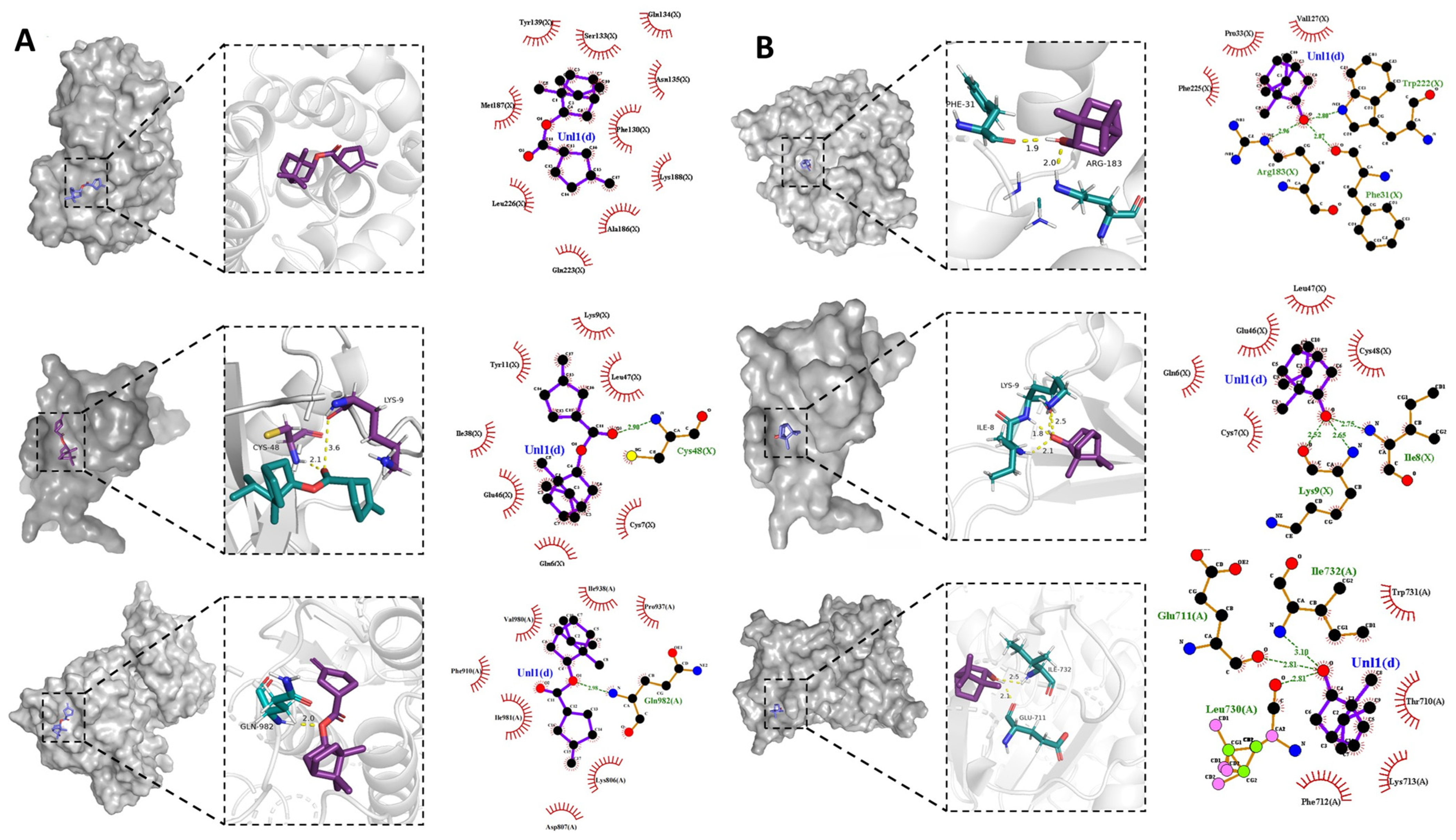 Molecules 29 01994 g010