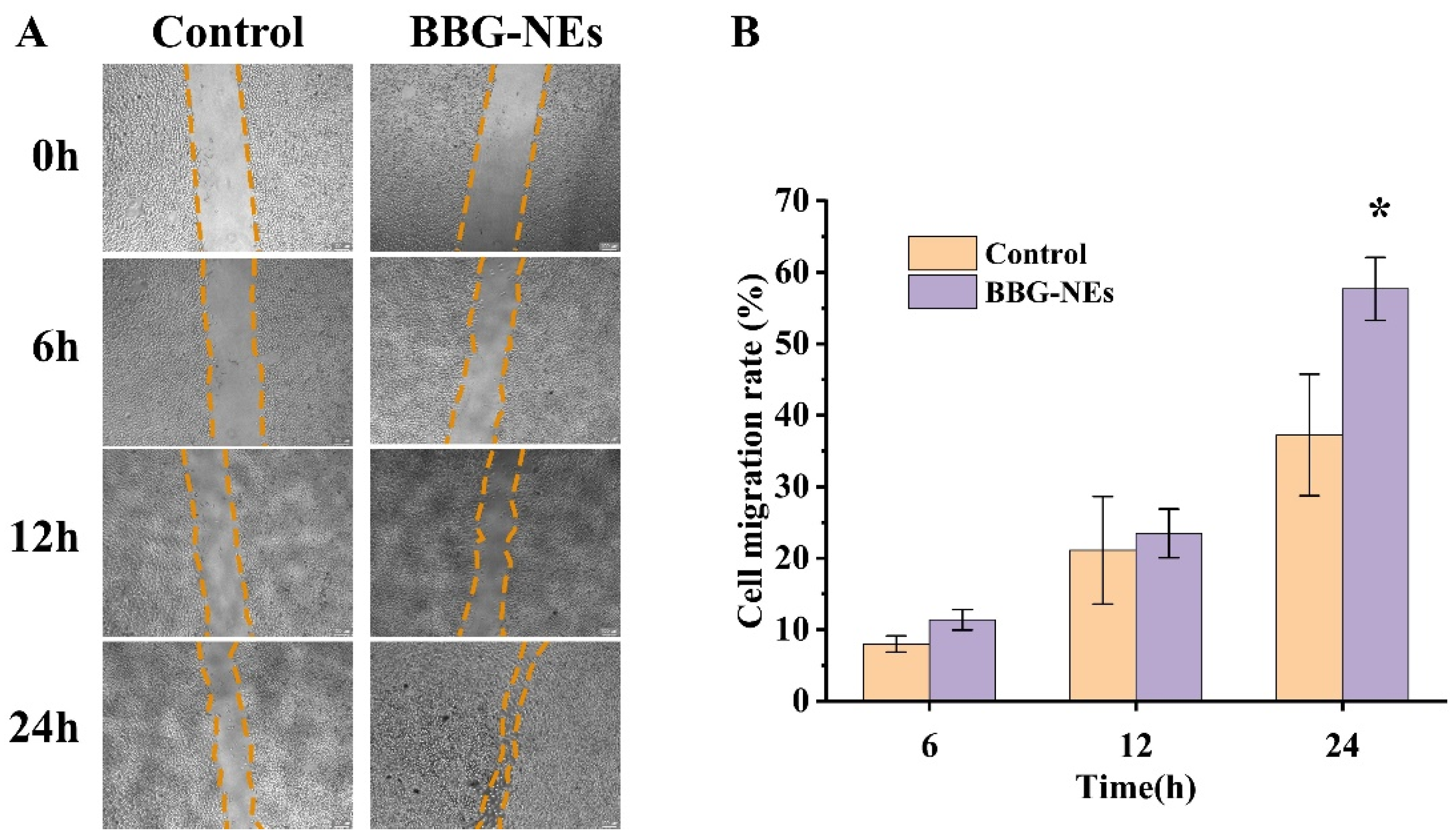 Molecules 29 01994 g011