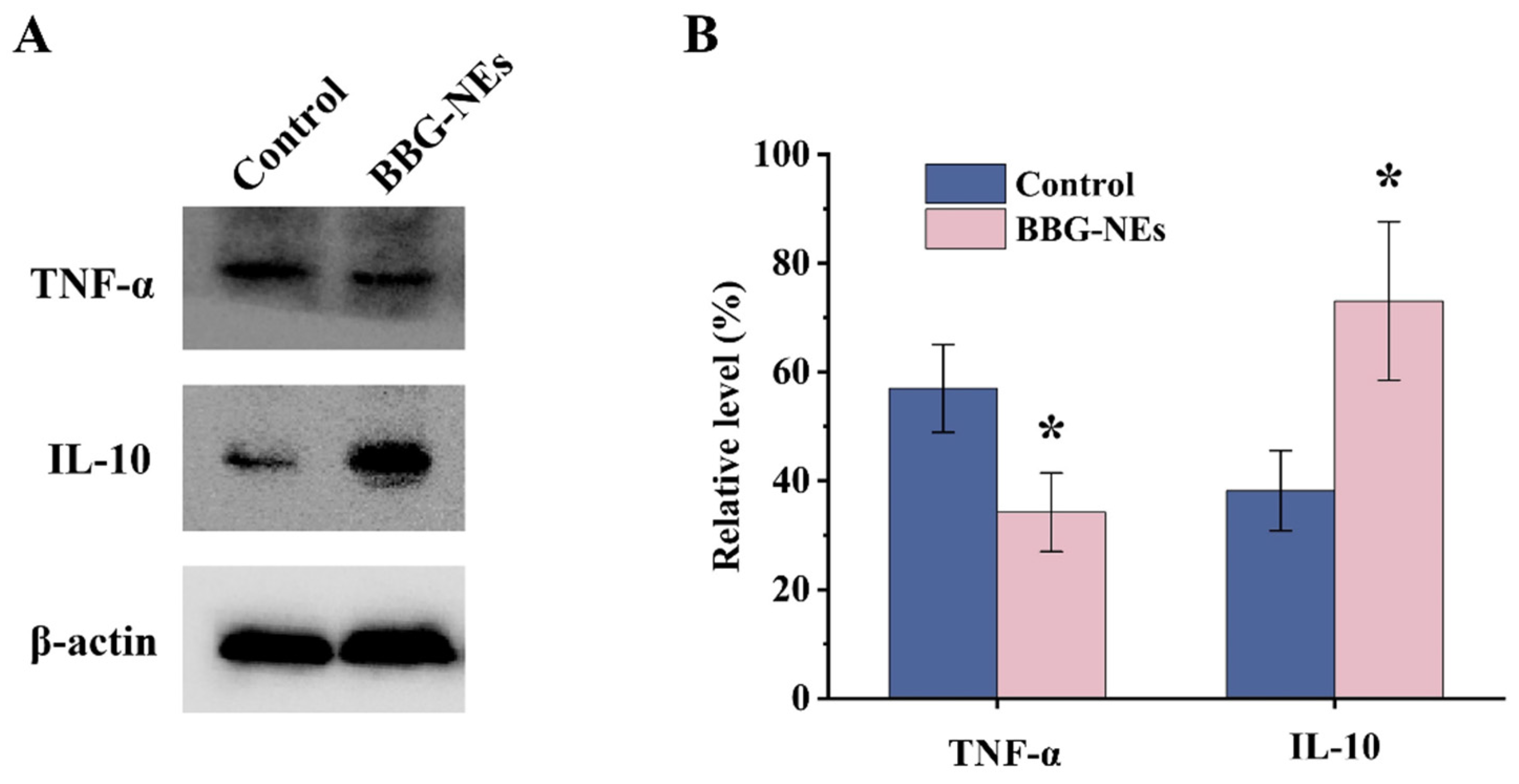 Molecules 29 01994 g012