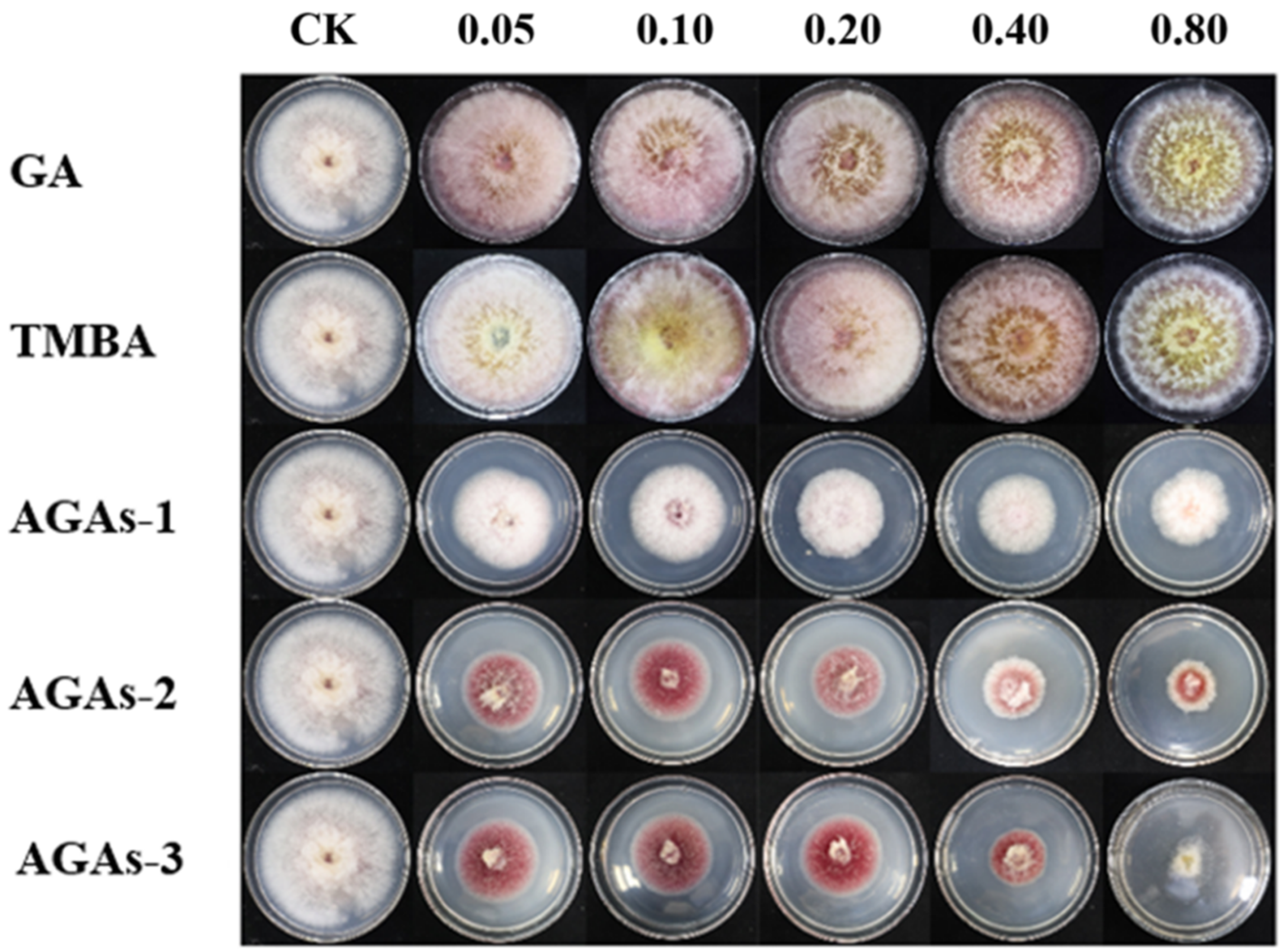Molecules 29 01996 g004