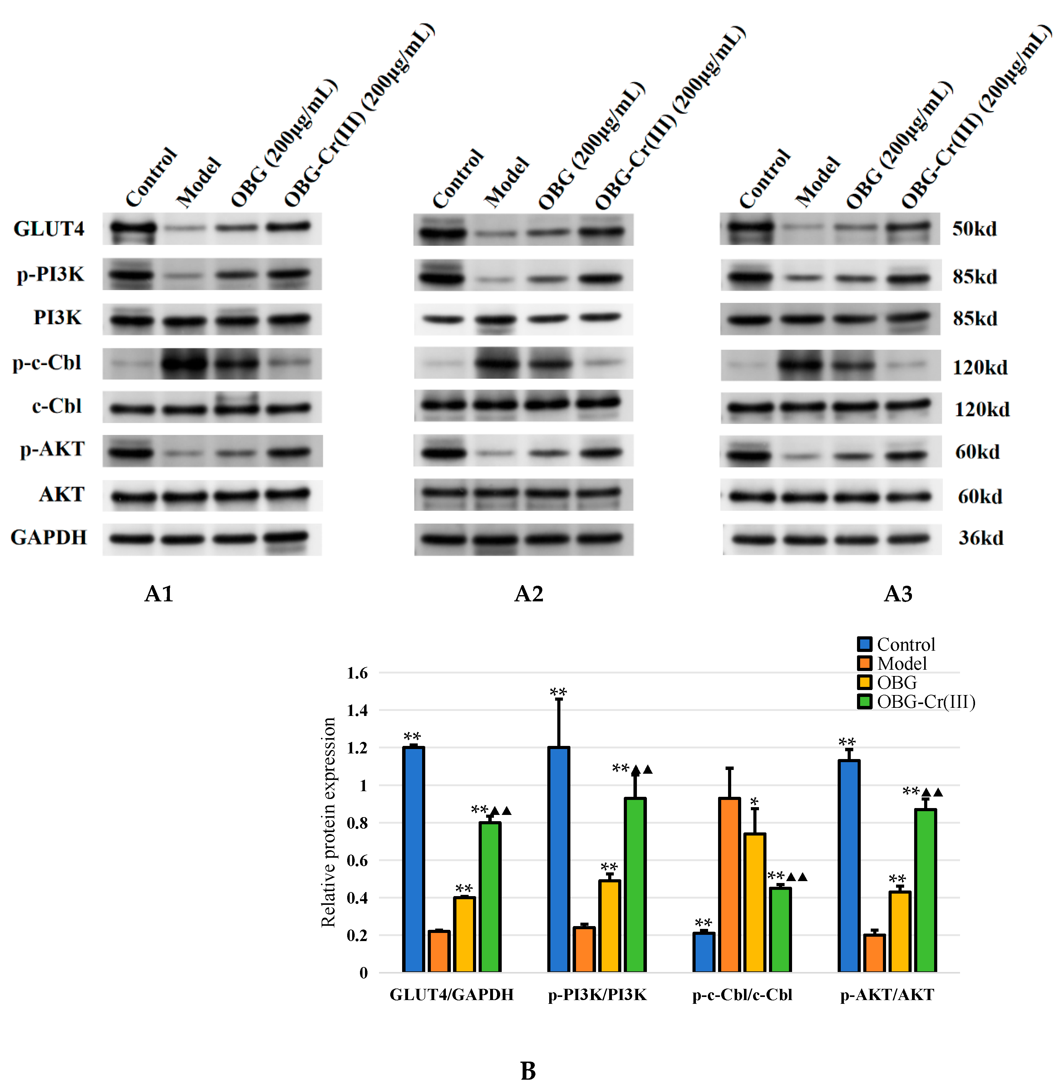 Molecules 29 01998 g012 Molecules 29 01998 g012