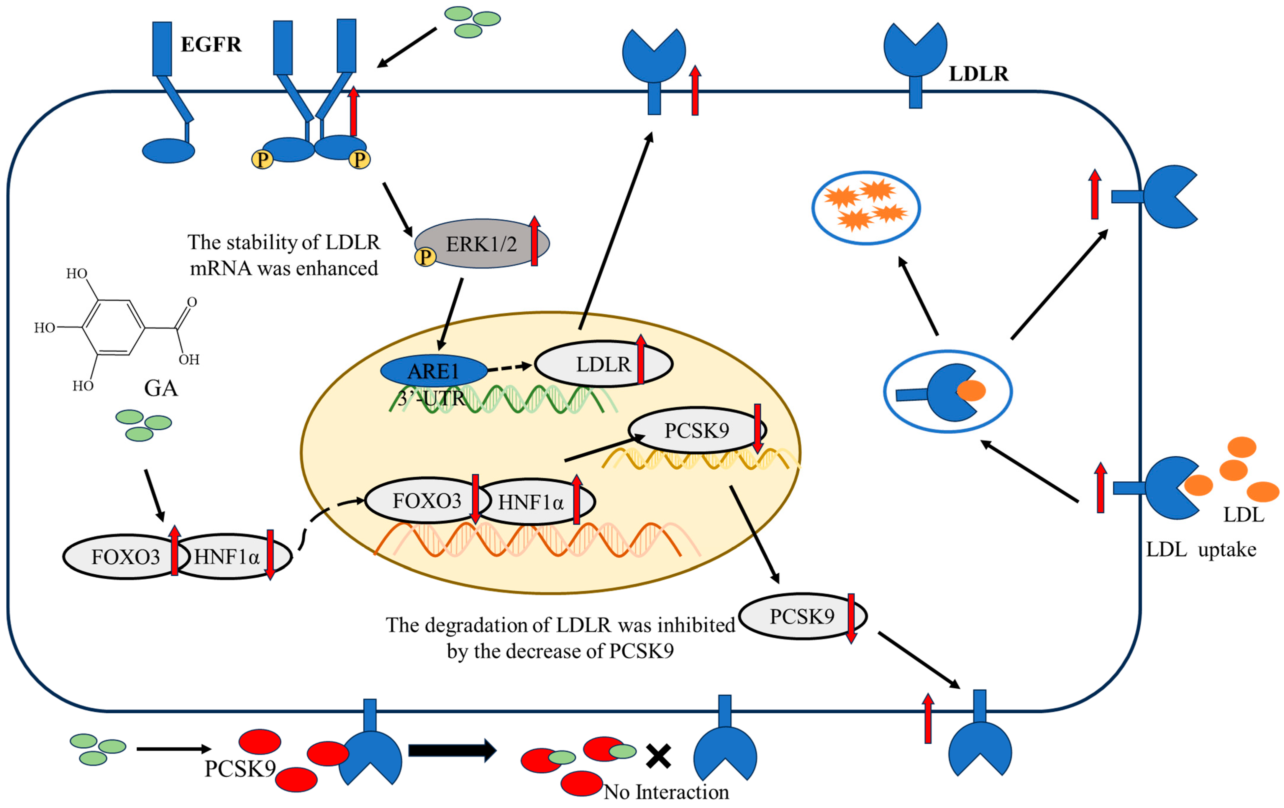 Molecules 29 01999 g005