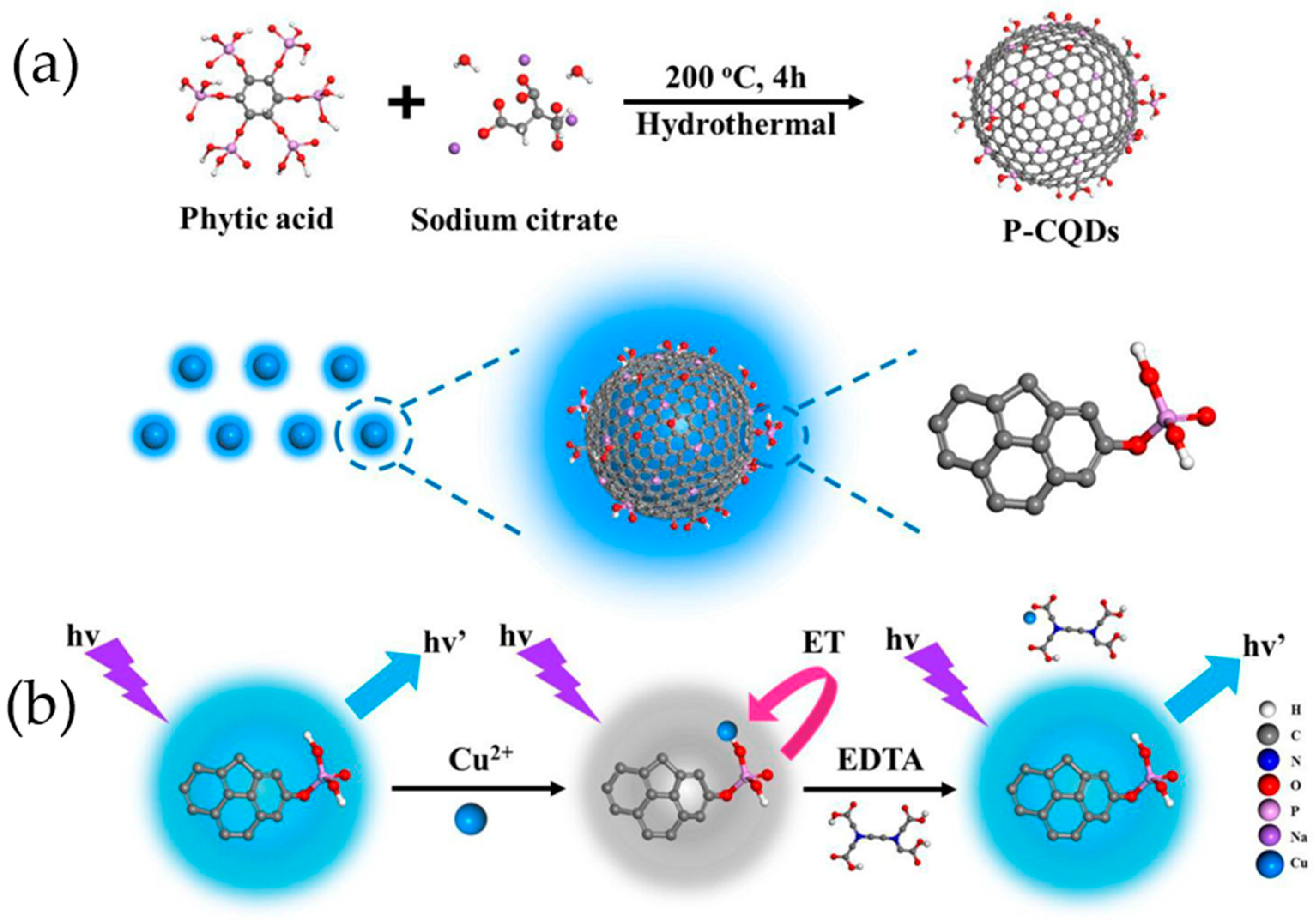 Molecules 29 02002 g008