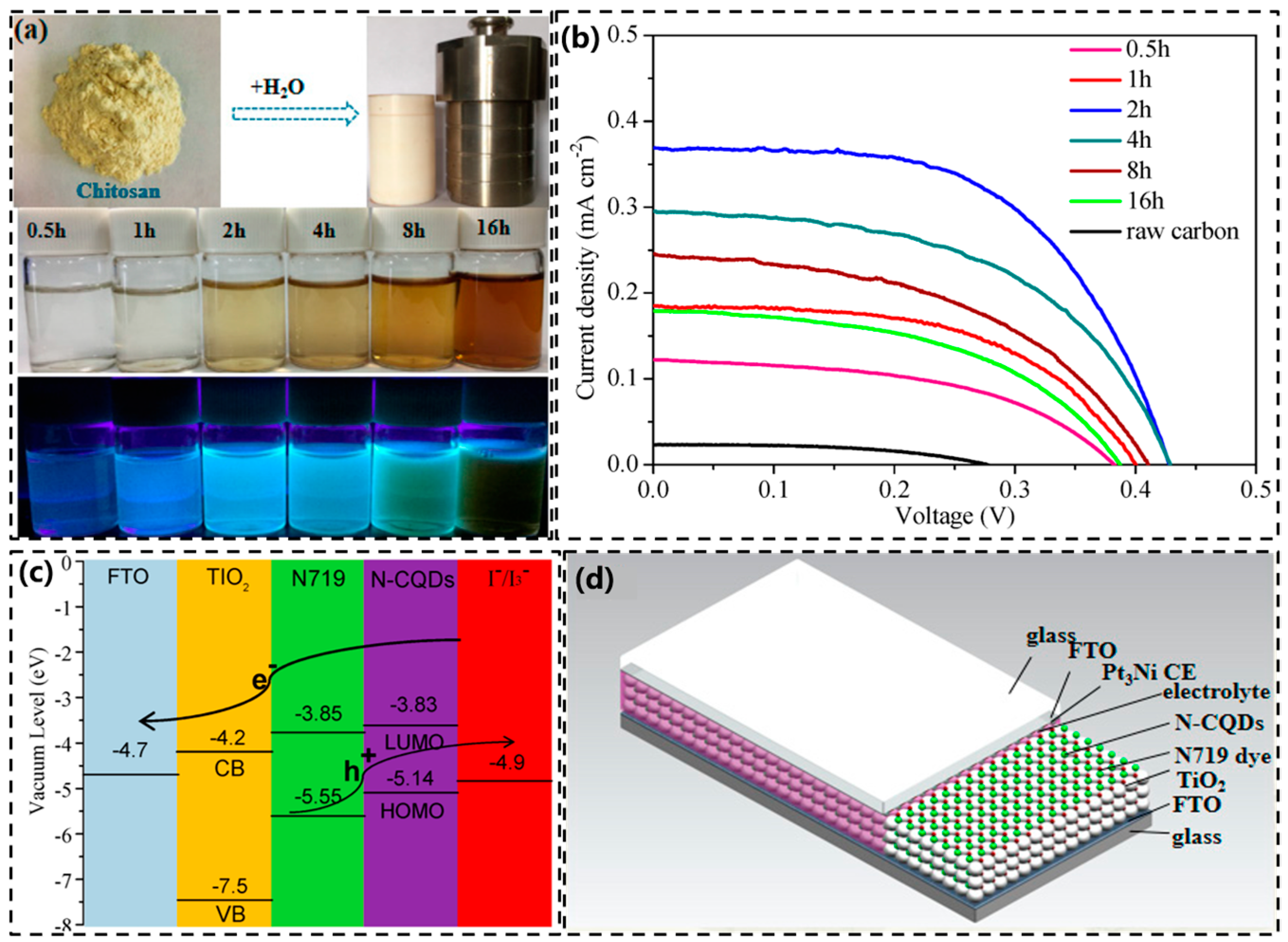 Molecules 29 02002 g015