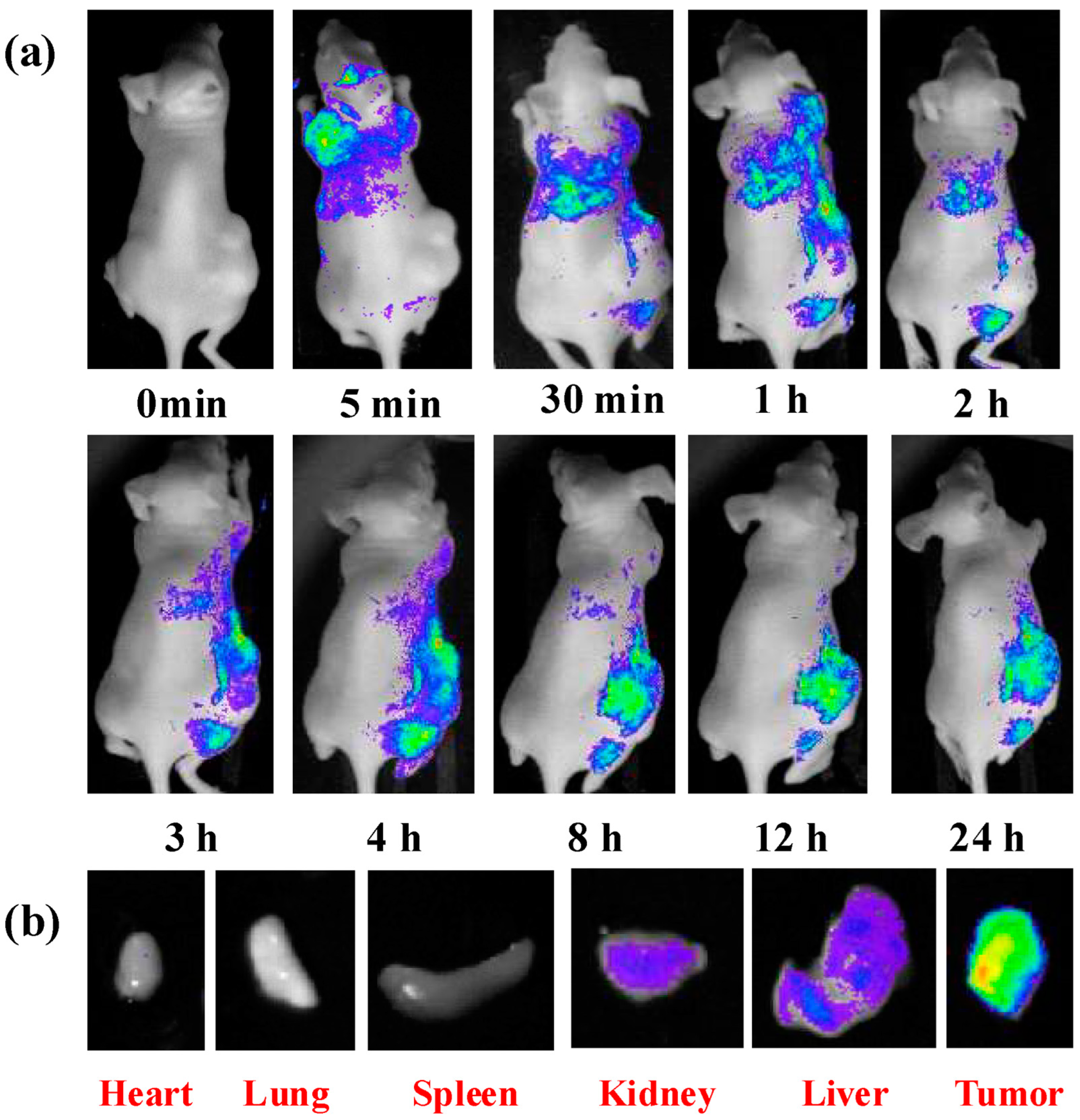 Molecules 29 02002 g017