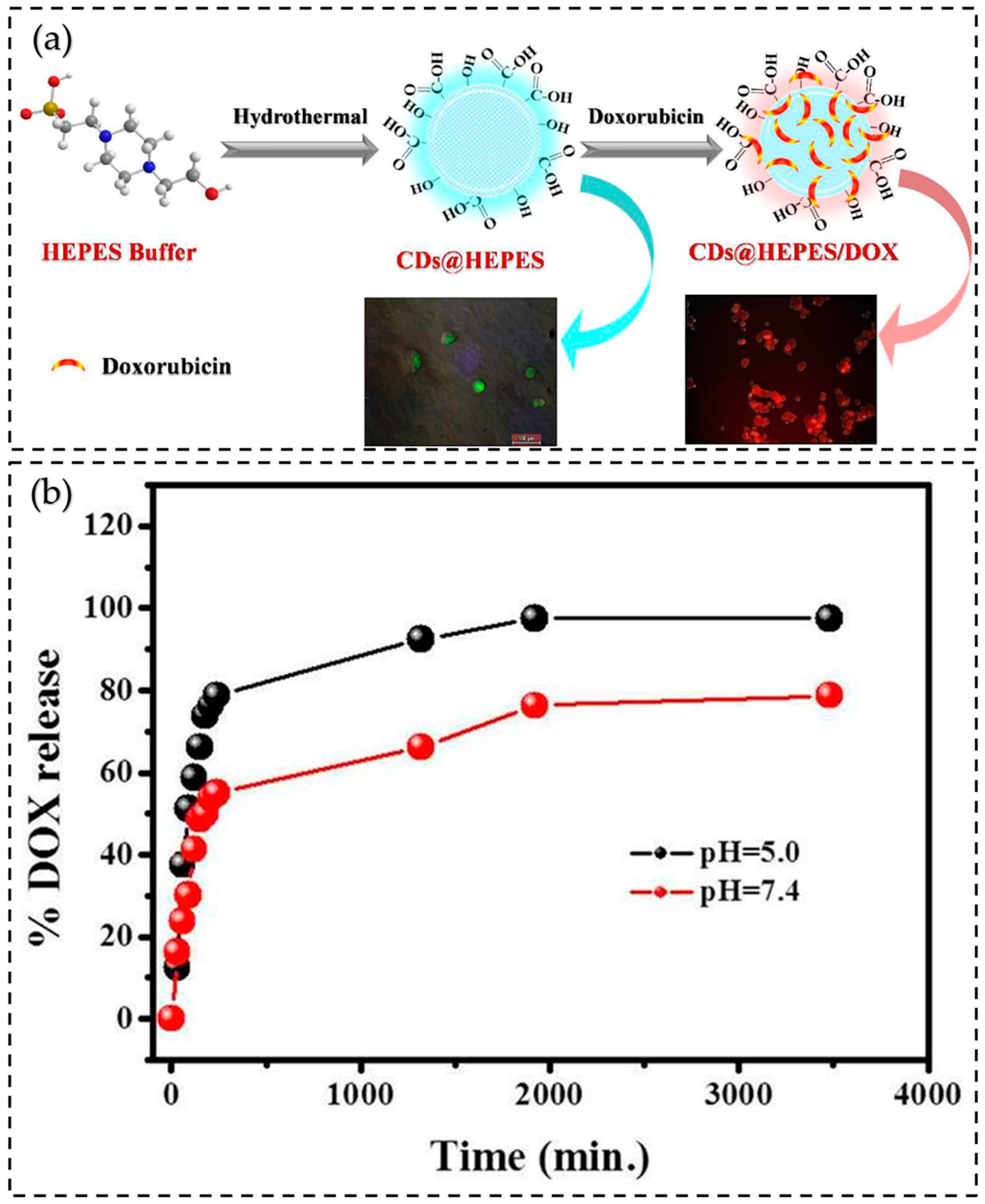 Molecules 29 02002 g019