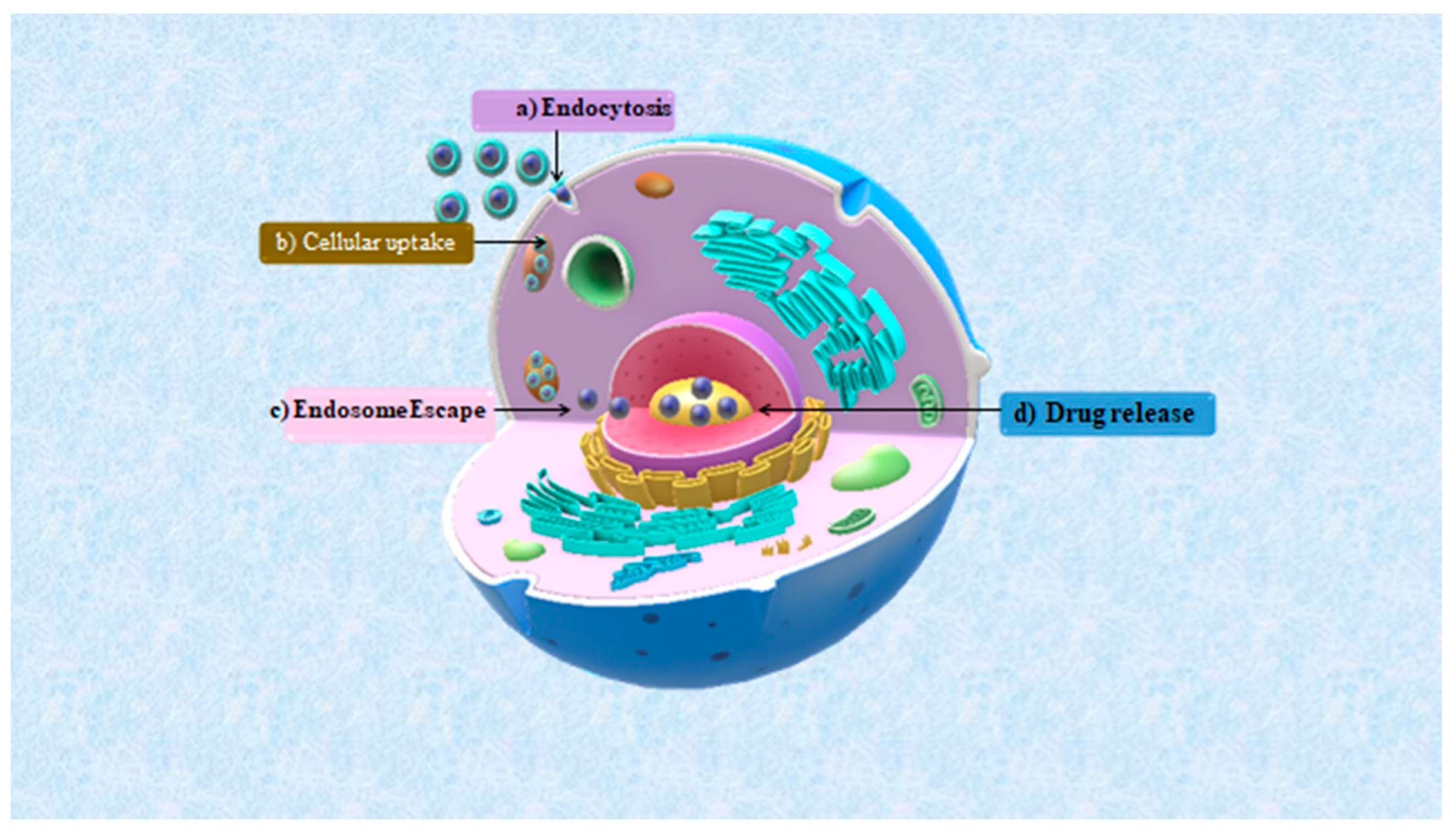 Molecules 29 02002 g020