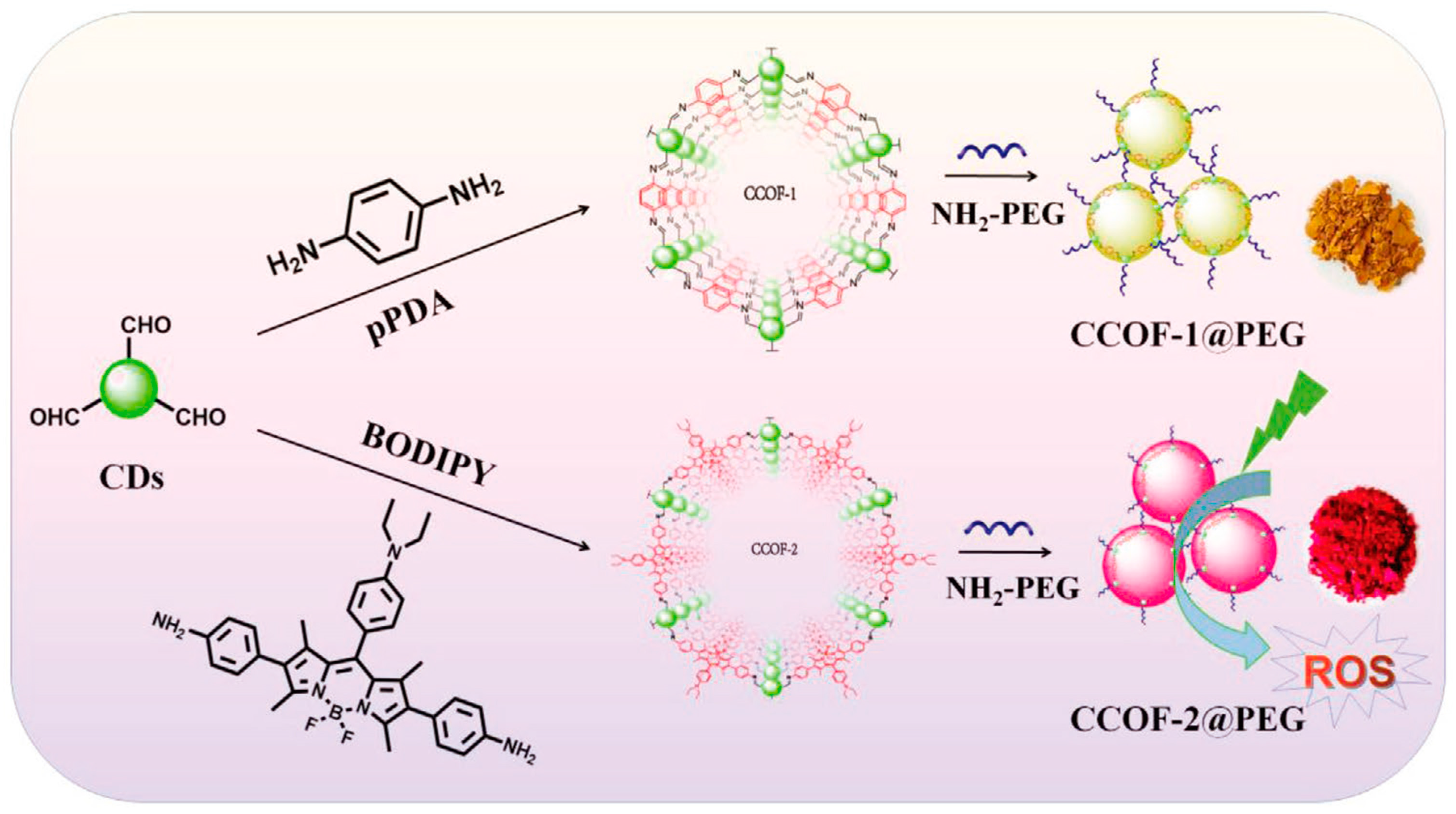 Molecules 29 02002 g024