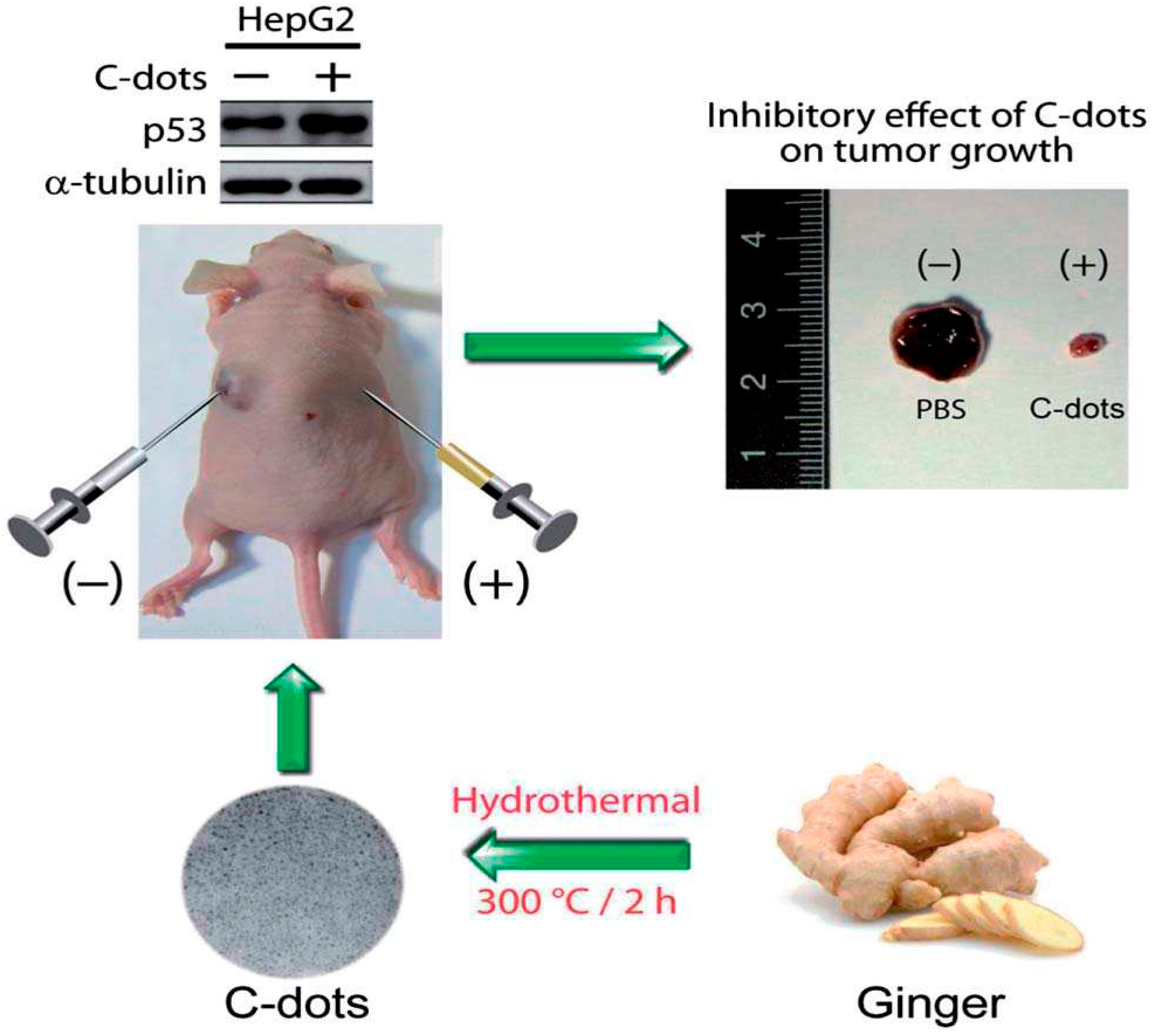 Molecules 29 02002 g025
