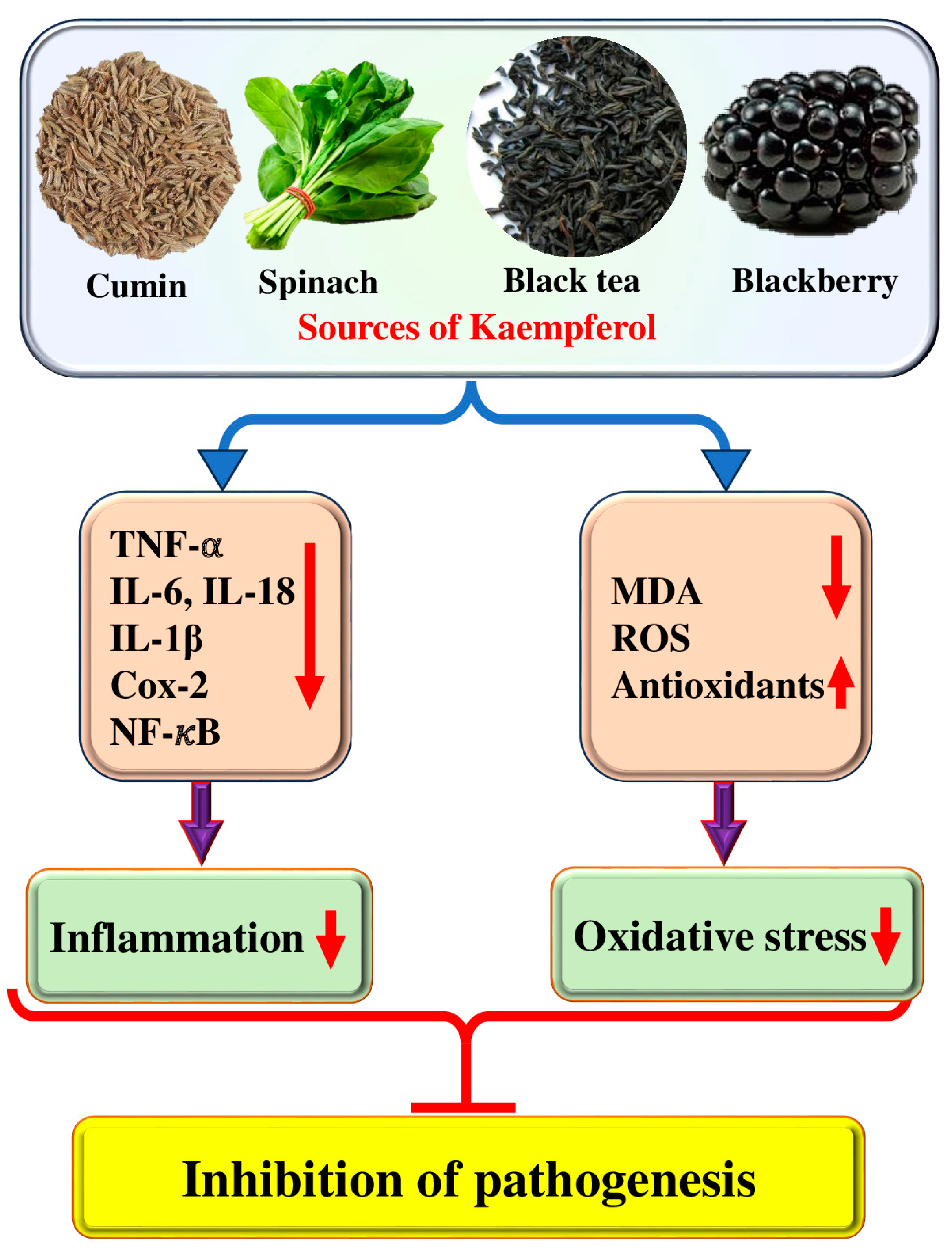 Molecules 29 02007 g002