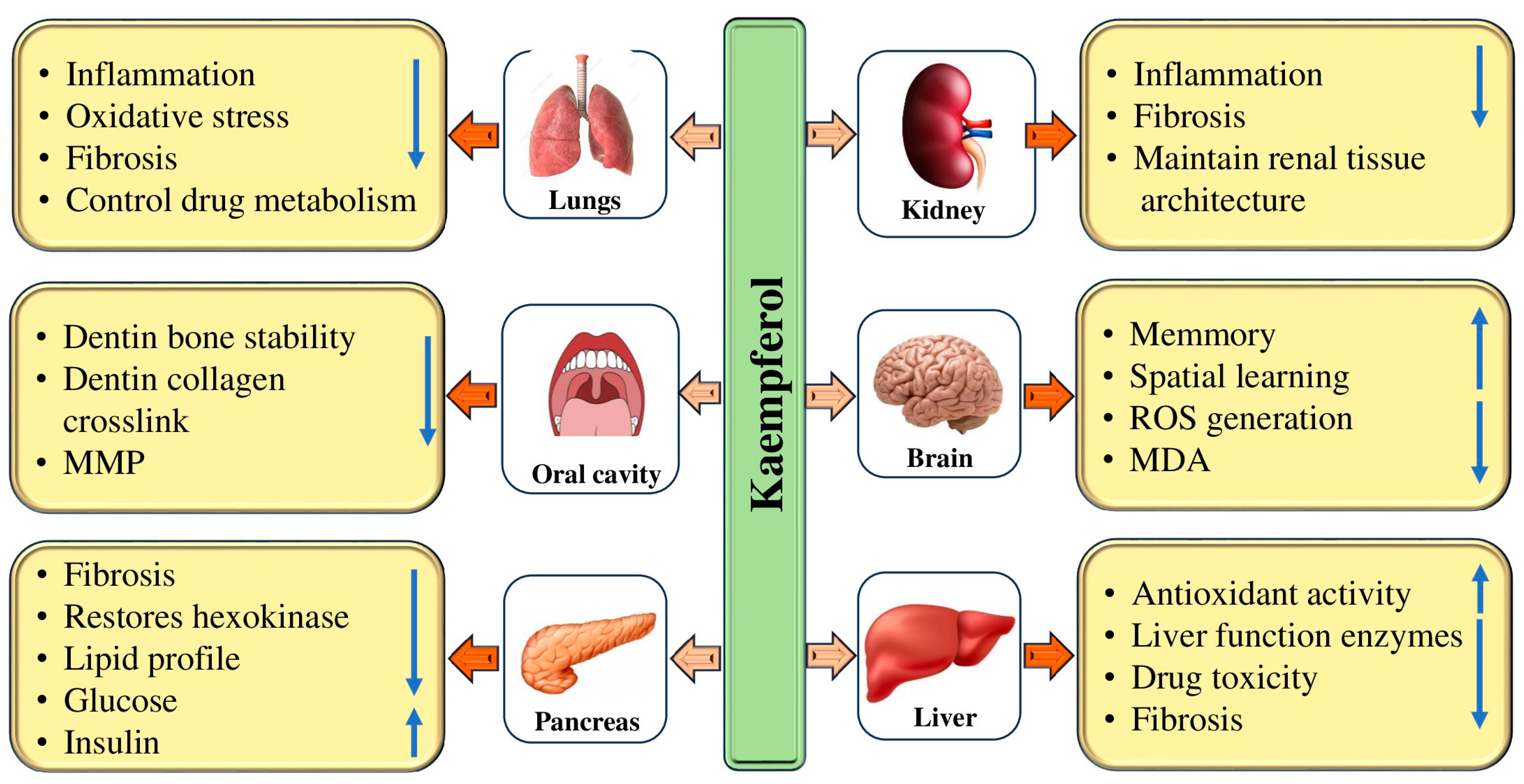 Molecules 29 02007 g003