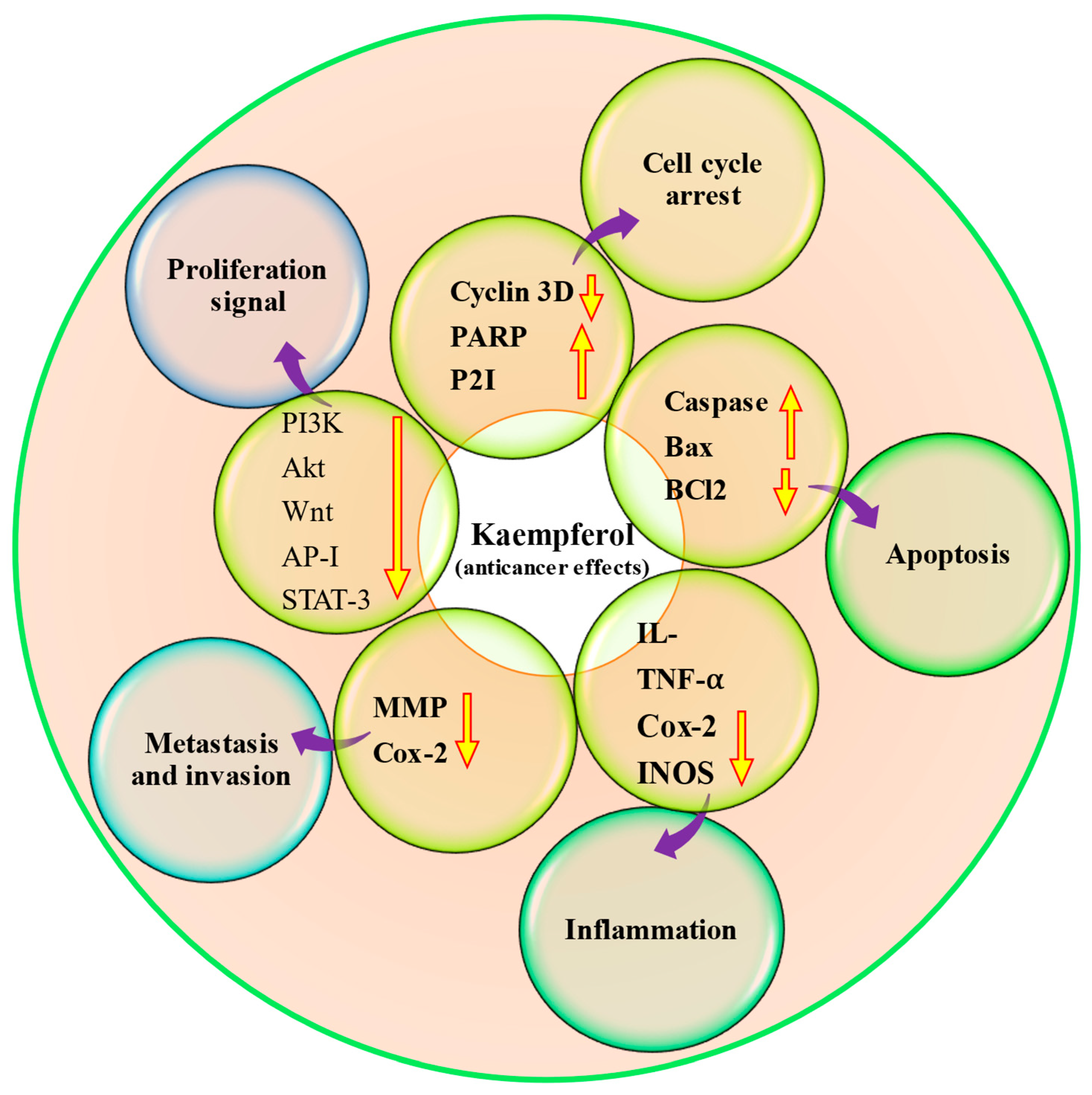 Molecules 29 02007 g004