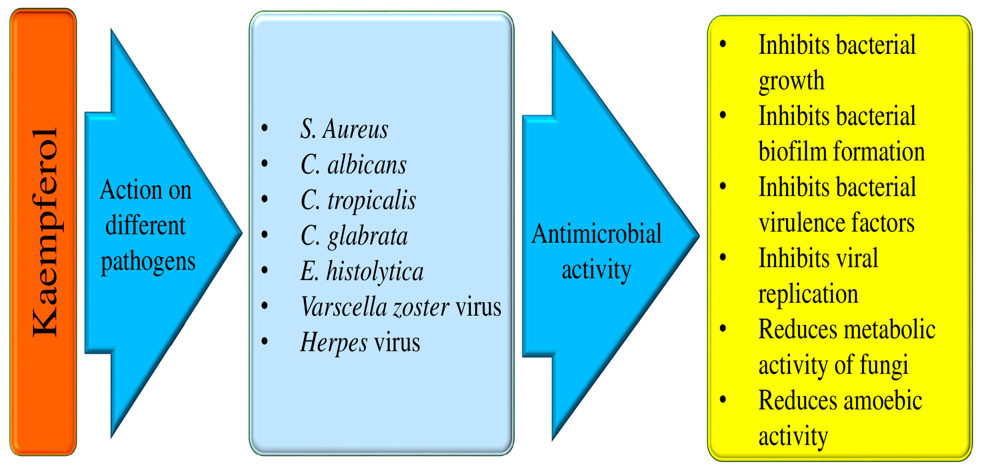 Molecules 29 02007 g005