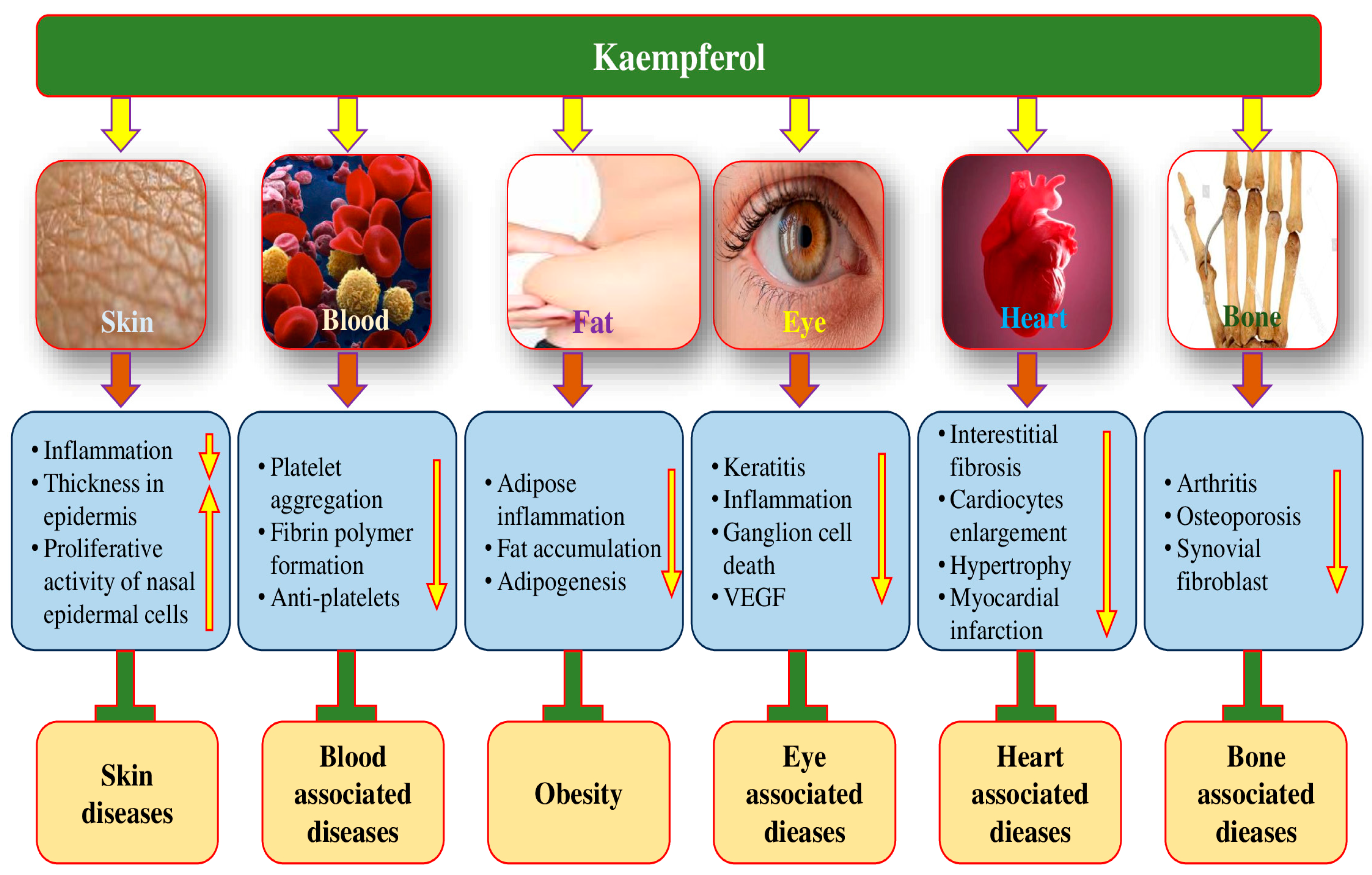 Molecules 29 02007 g006