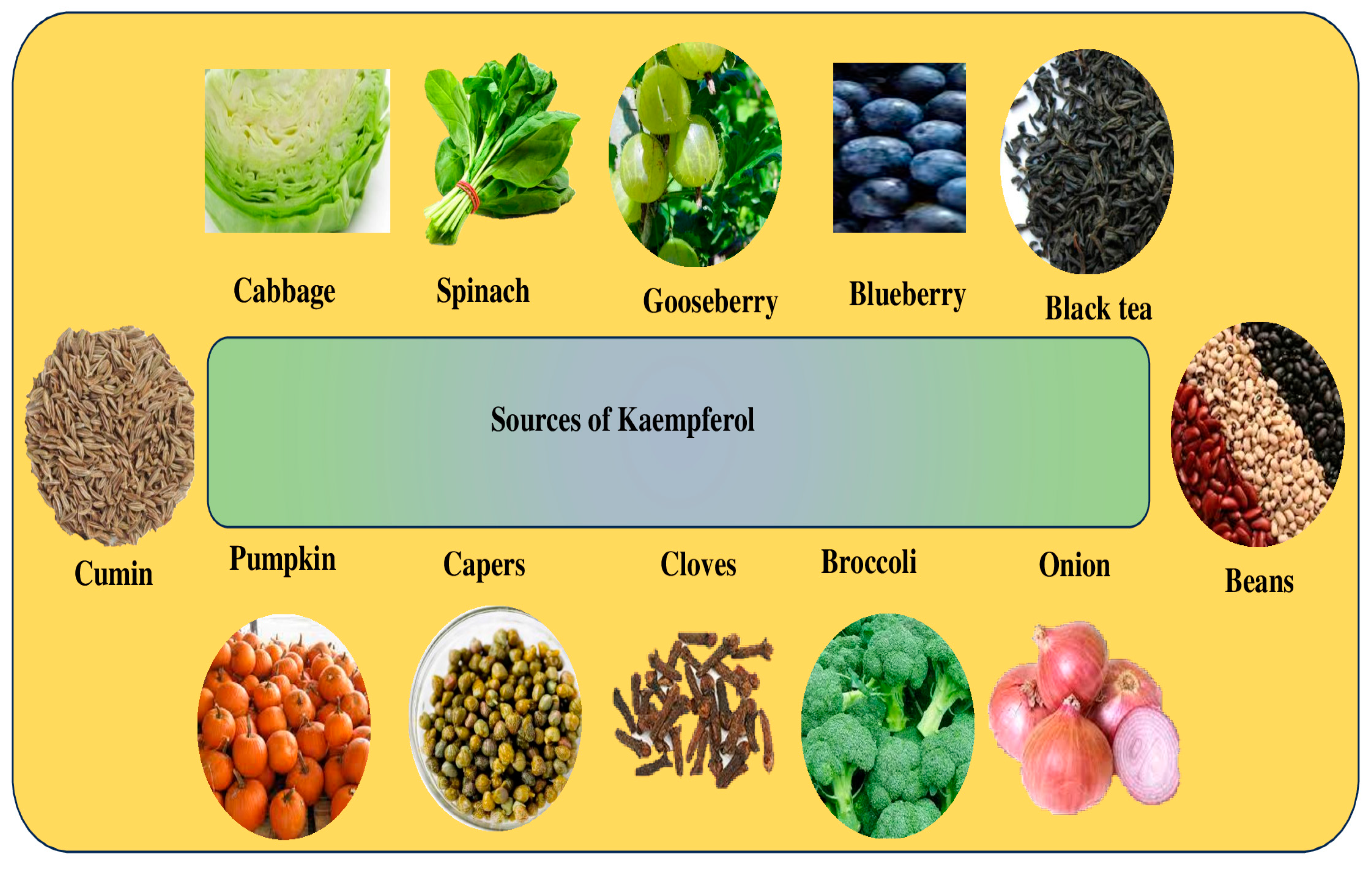 Molecules 29 02007 g009