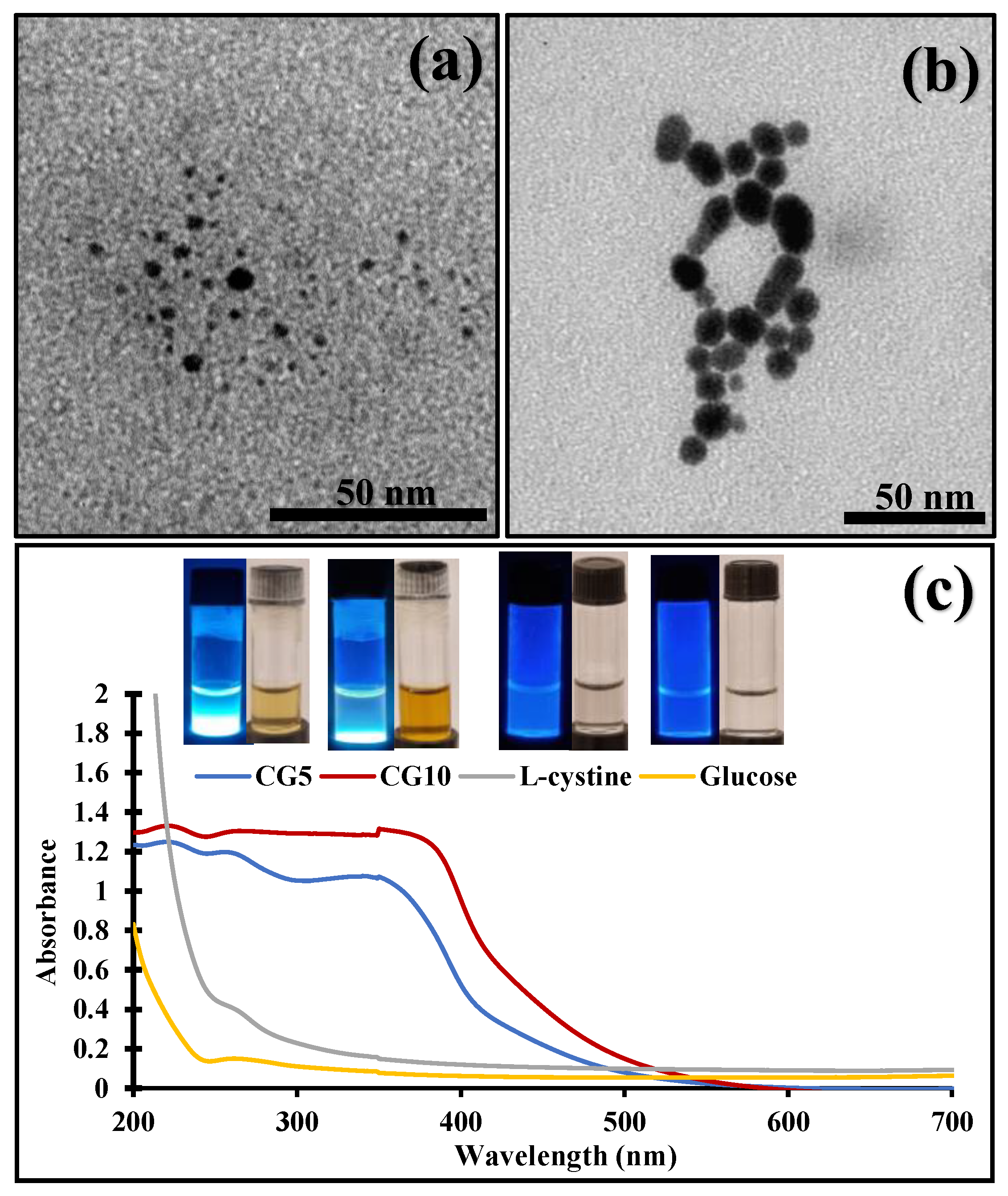 Molecules 29 02008 g001