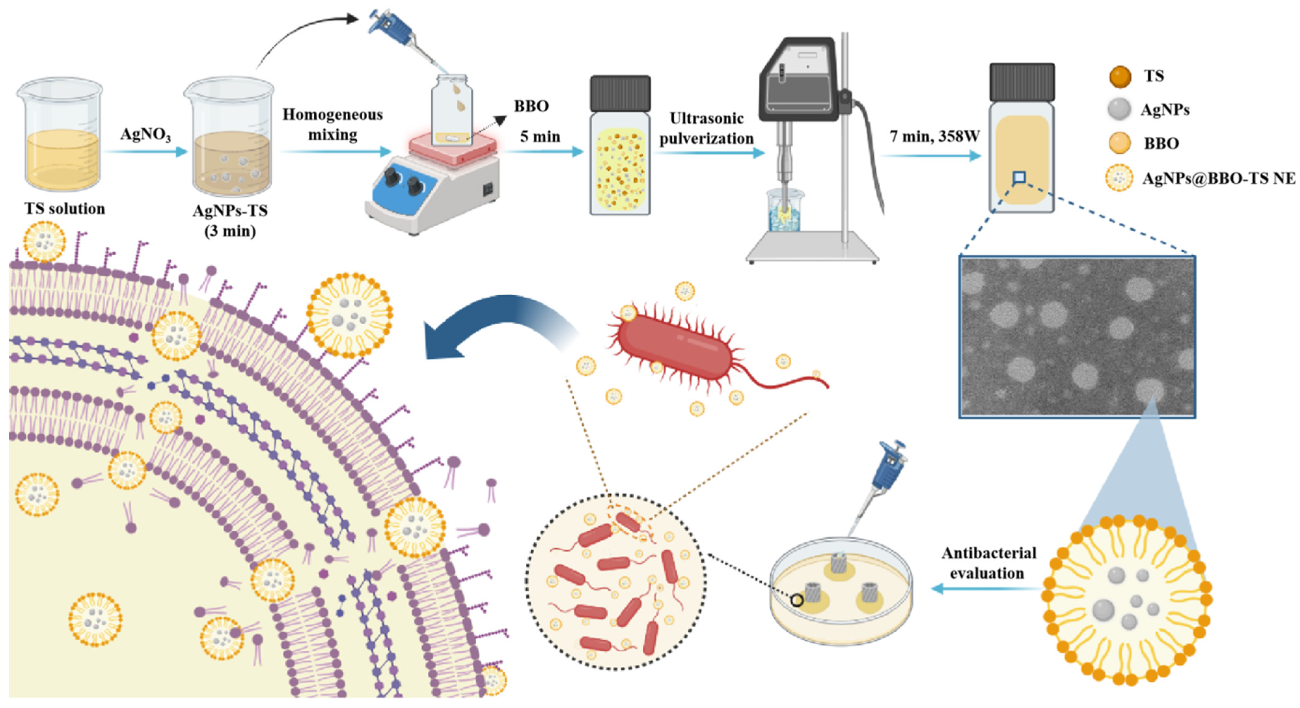 Molecules 29 02009 g001