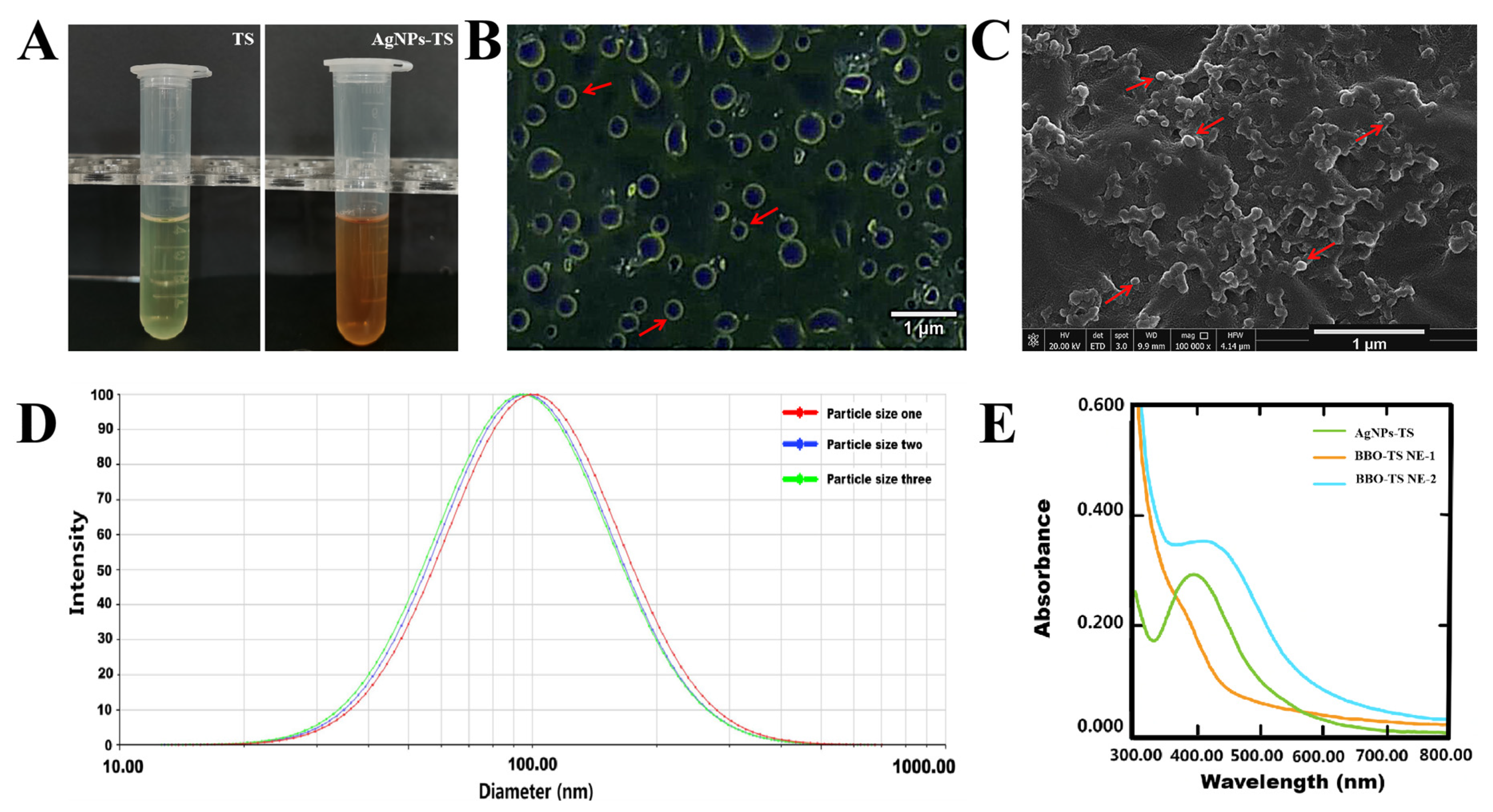 Molecules 29 02009 g003