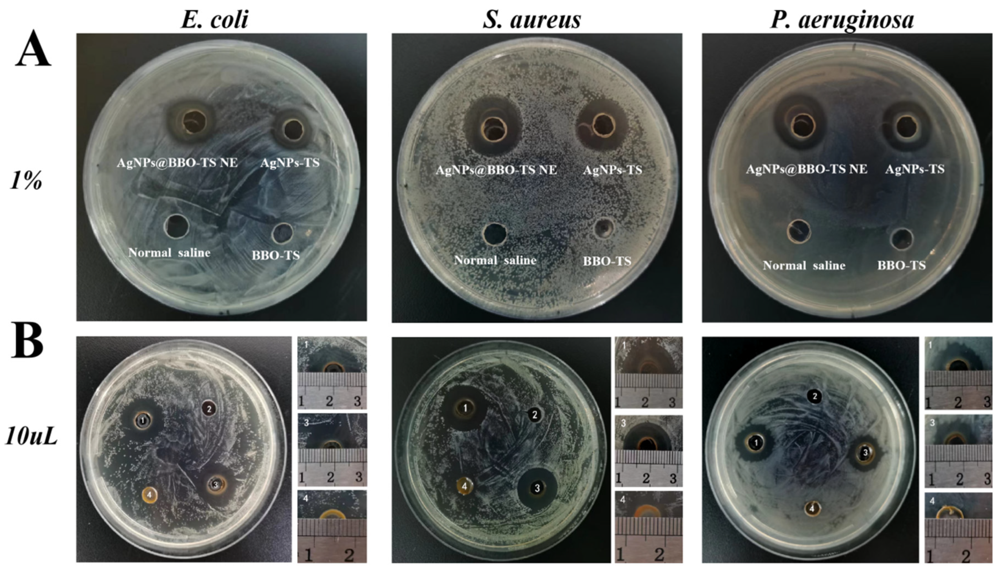 Molecules 29 02009 g011