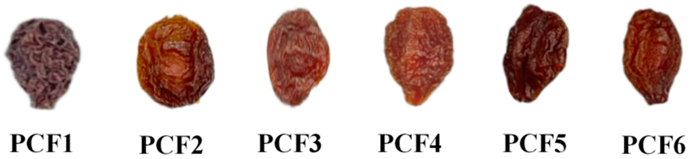 Molecules 29 02011 g001
