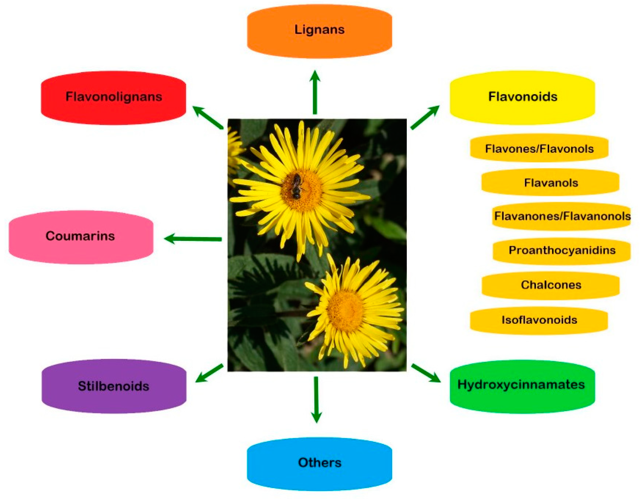 Molecules 29 02014 g001