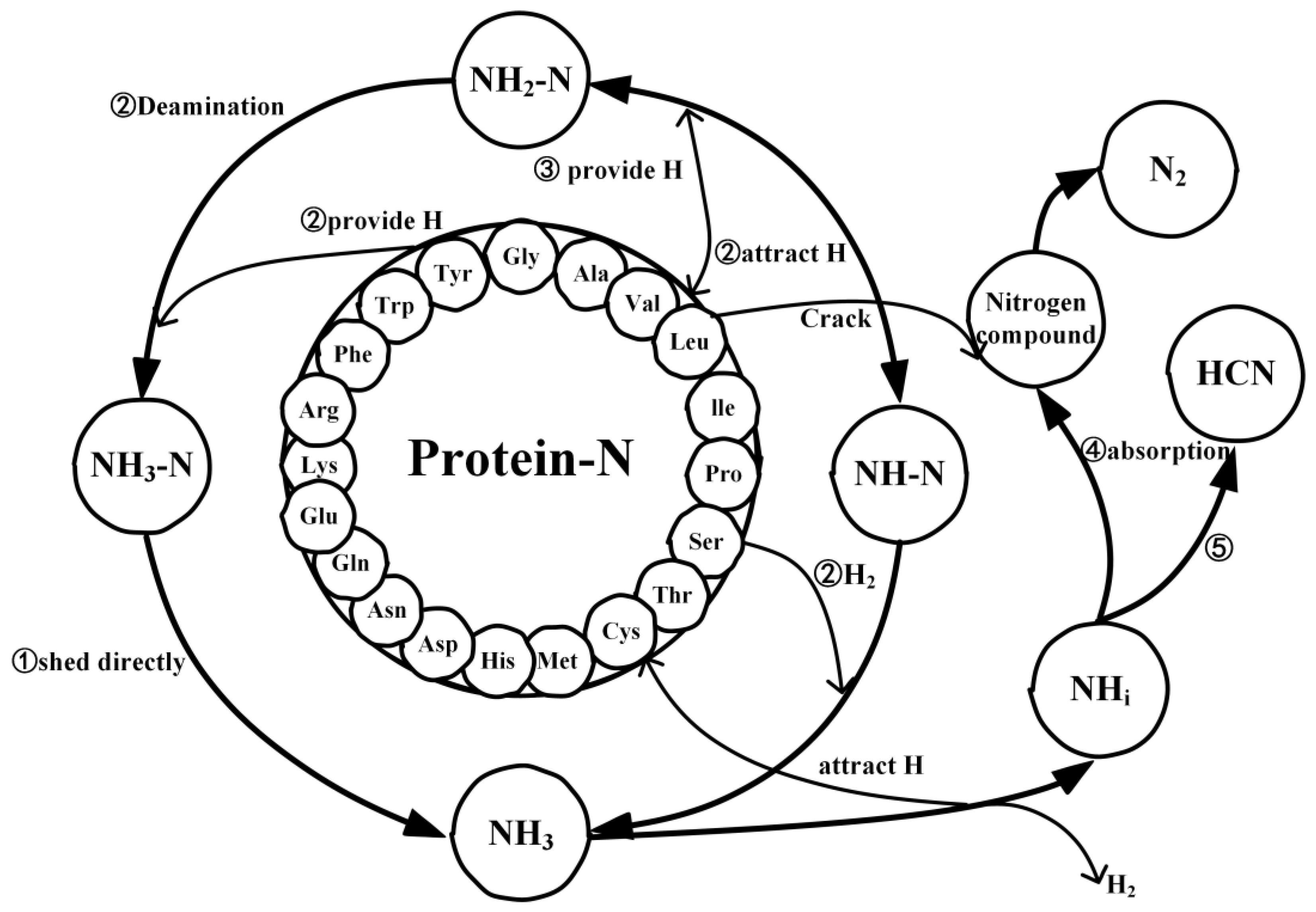 Molecules 29 02016 g006