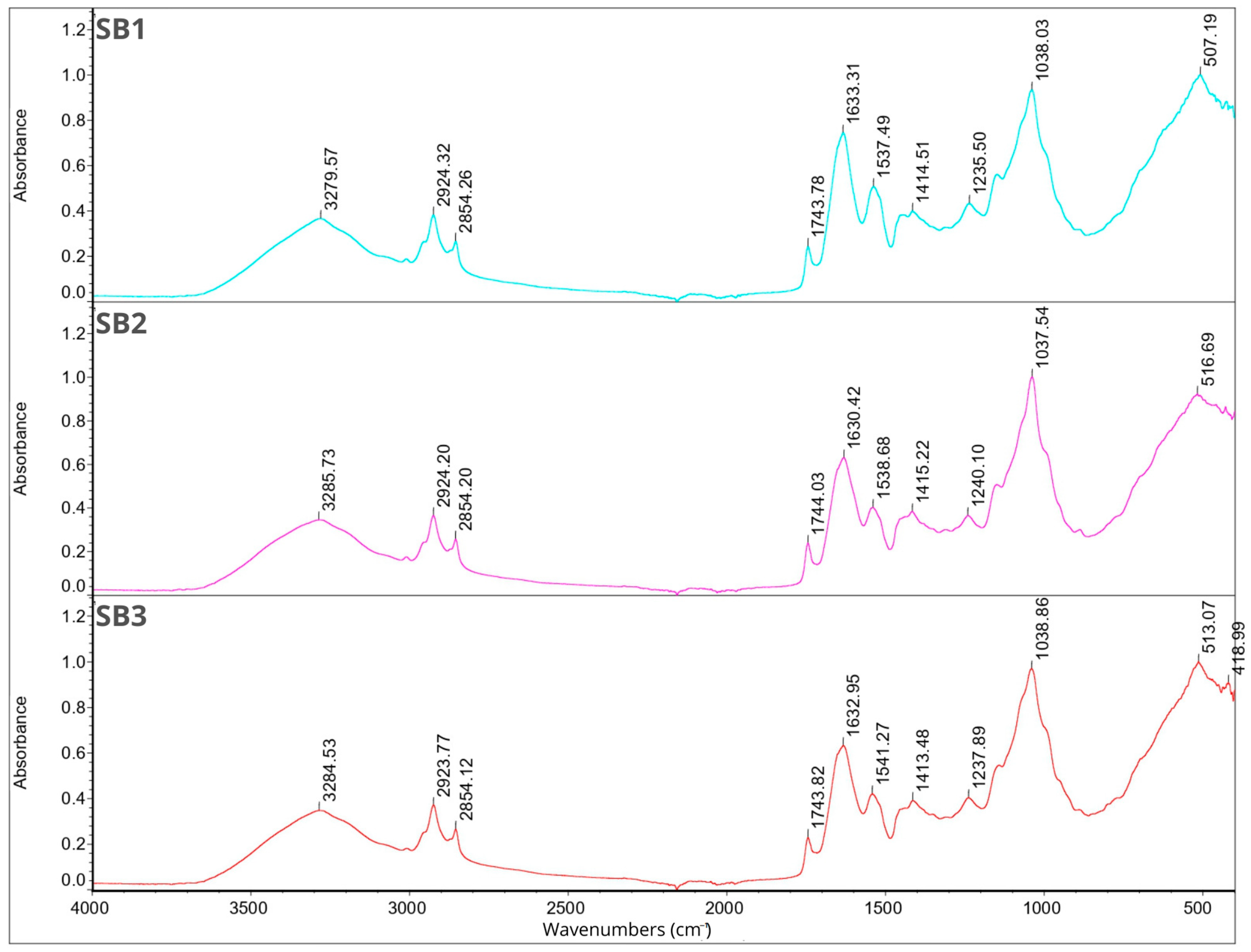 Molecules 29 02019 g004