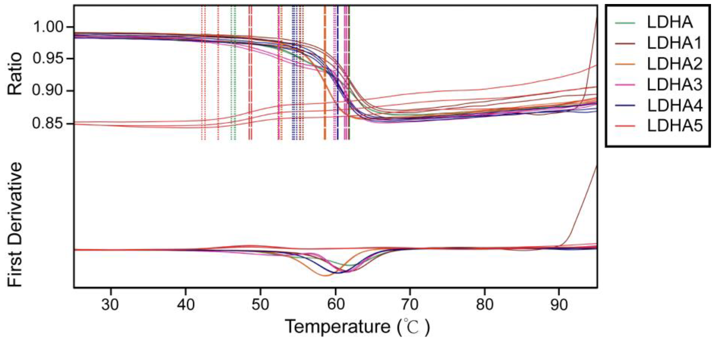 Molecules 29 02029 g007
