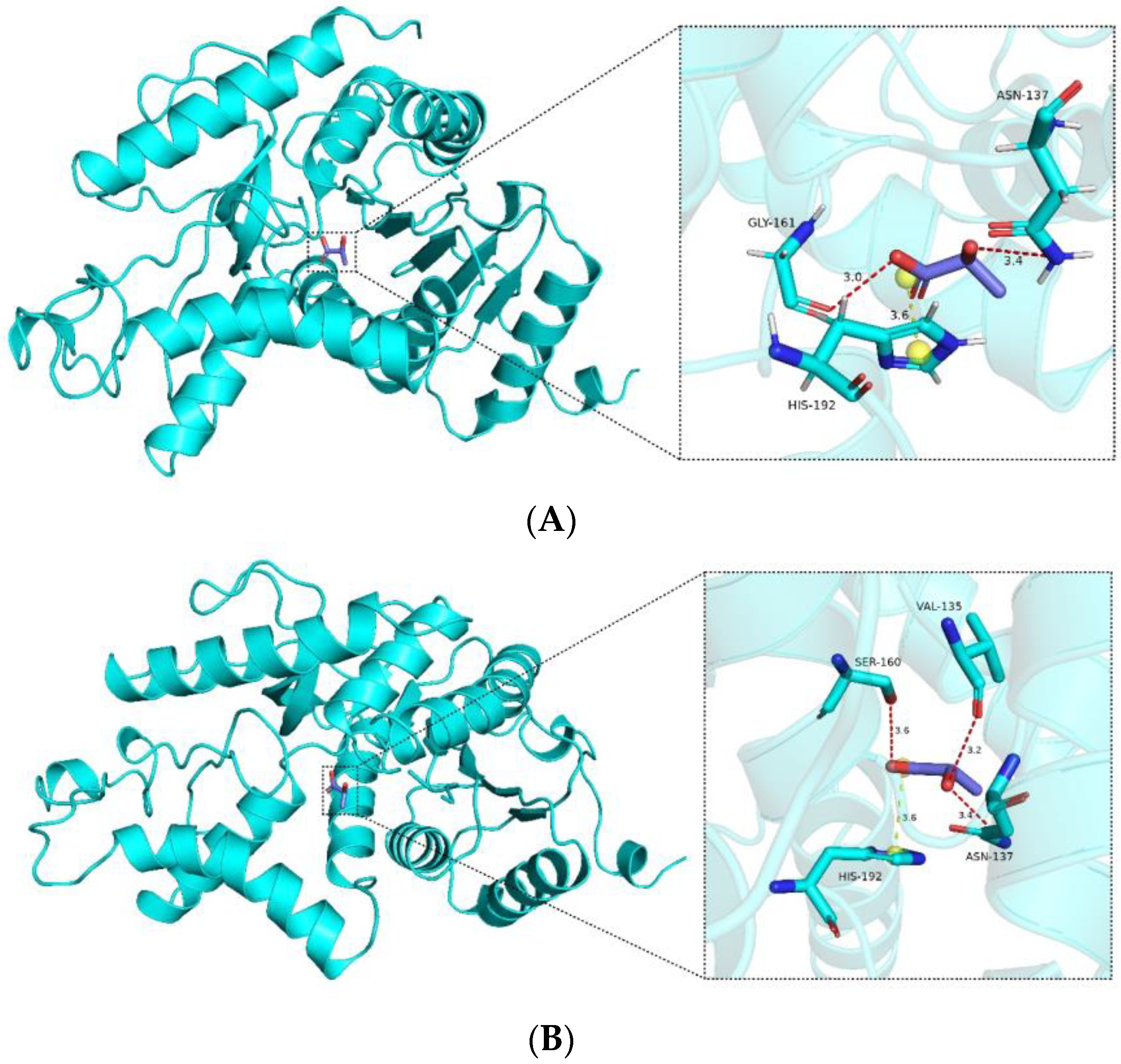 Molecules 29 02029 g008