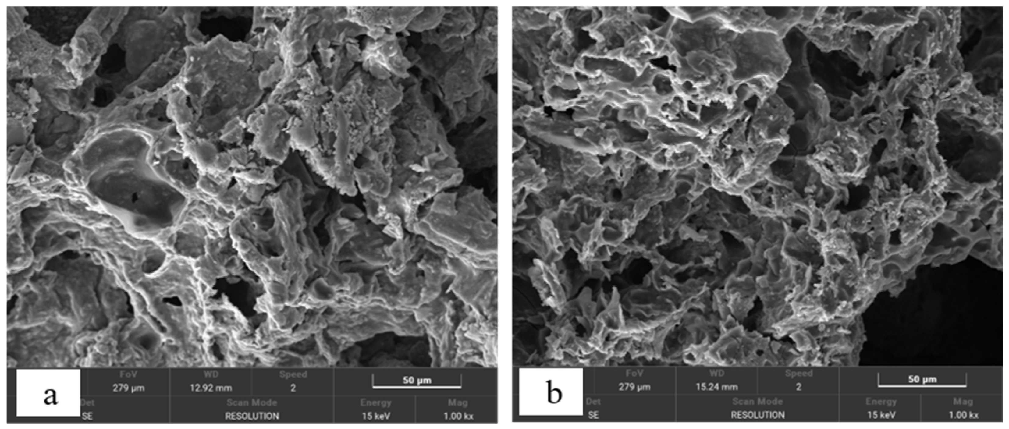 Molecules 29 02031 g003