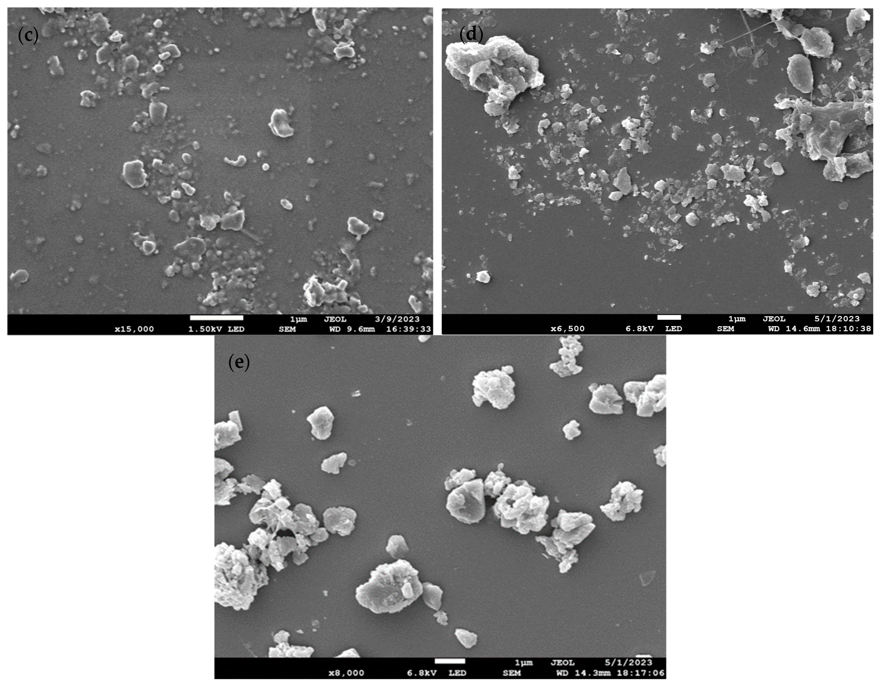 Molecules 29 02033 g001b