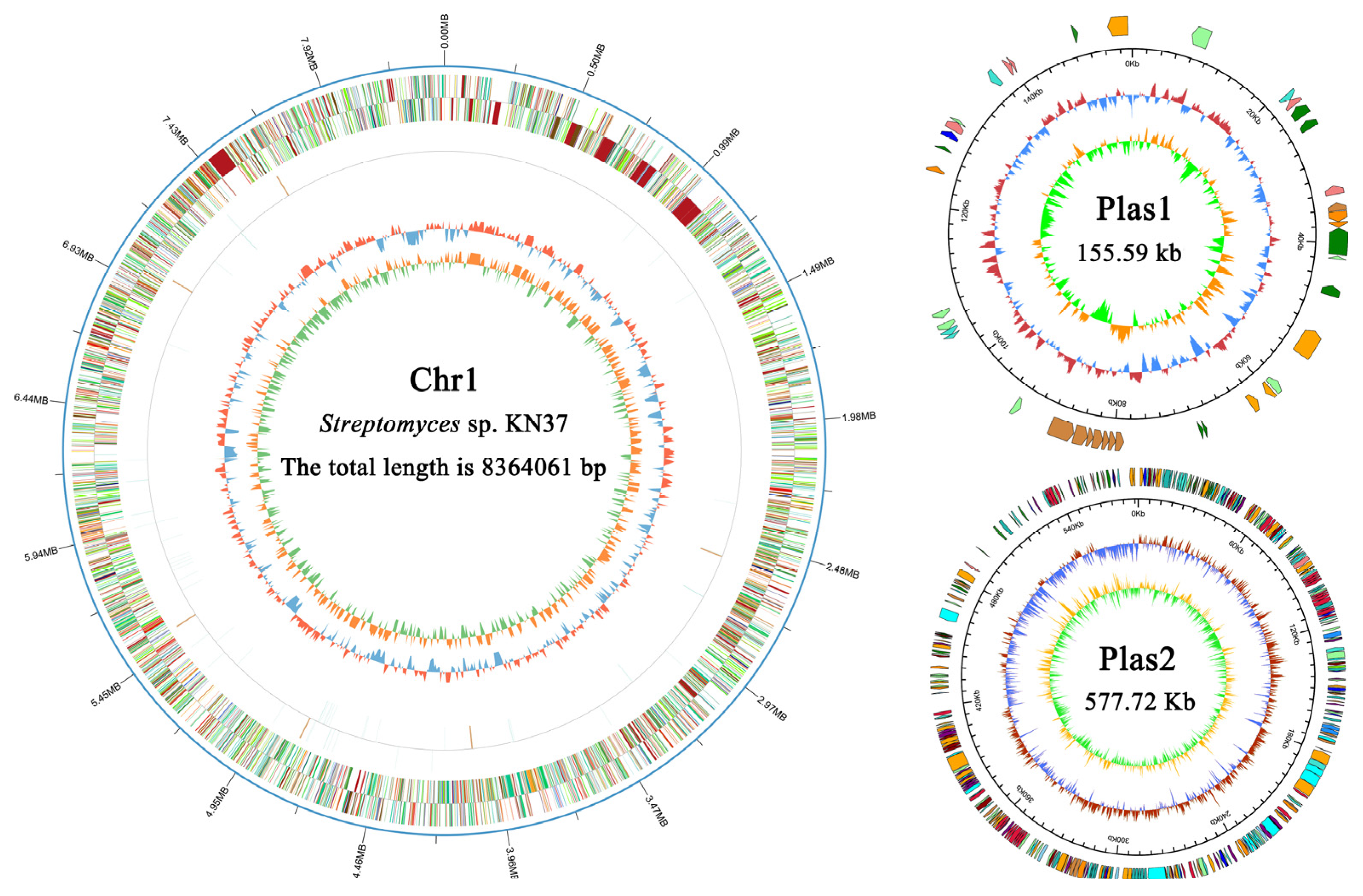 Molecules 29 02040 g001